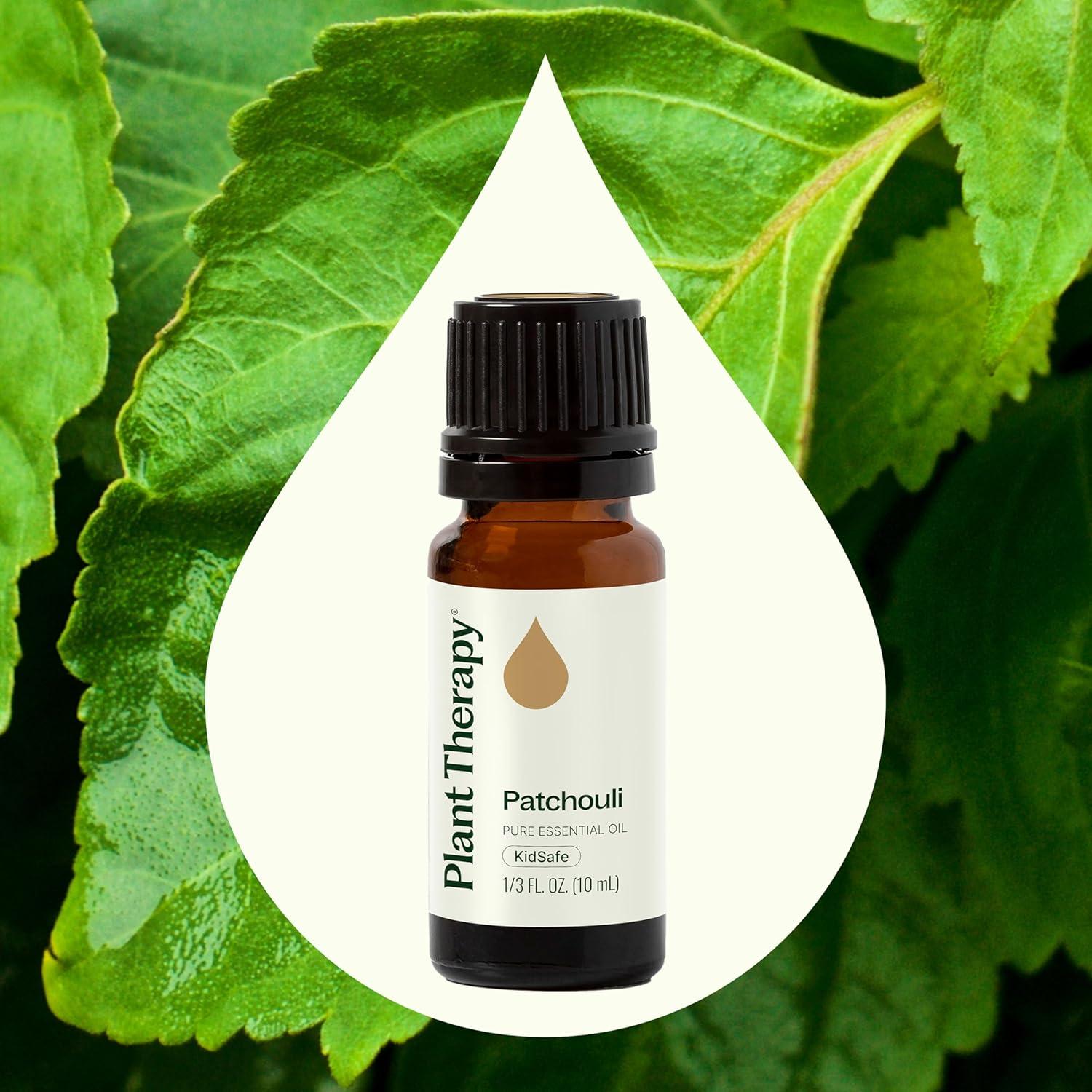 Aceite Esencial de Pachulí 100% Puro Plant Therapy 10 mL