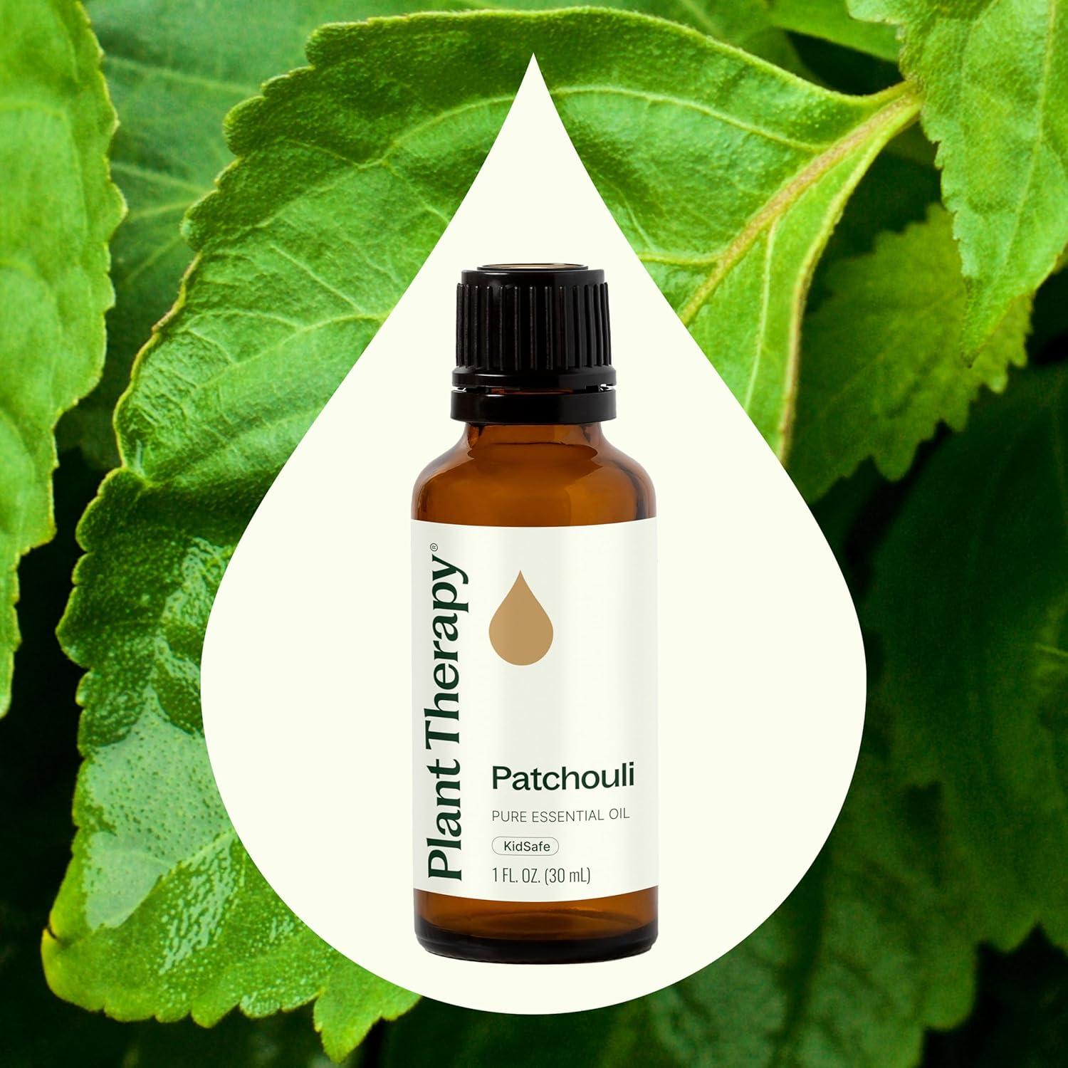 Aceite Esencial de Pachulí 100% Puro Plant Therapy 30 mL