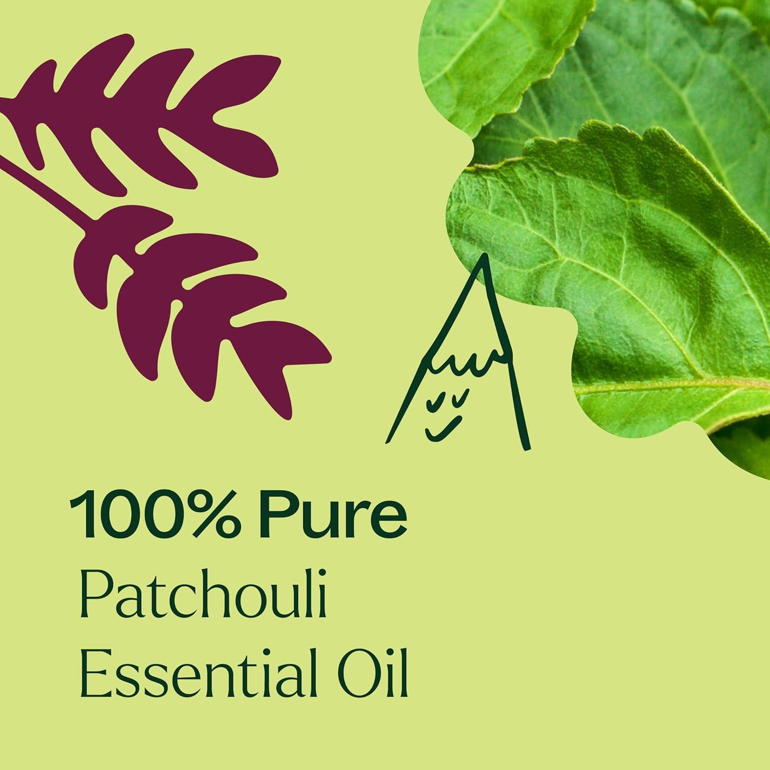 Aceite Esencial de Pachulí 100% Puro Plant Therapy 30 mL