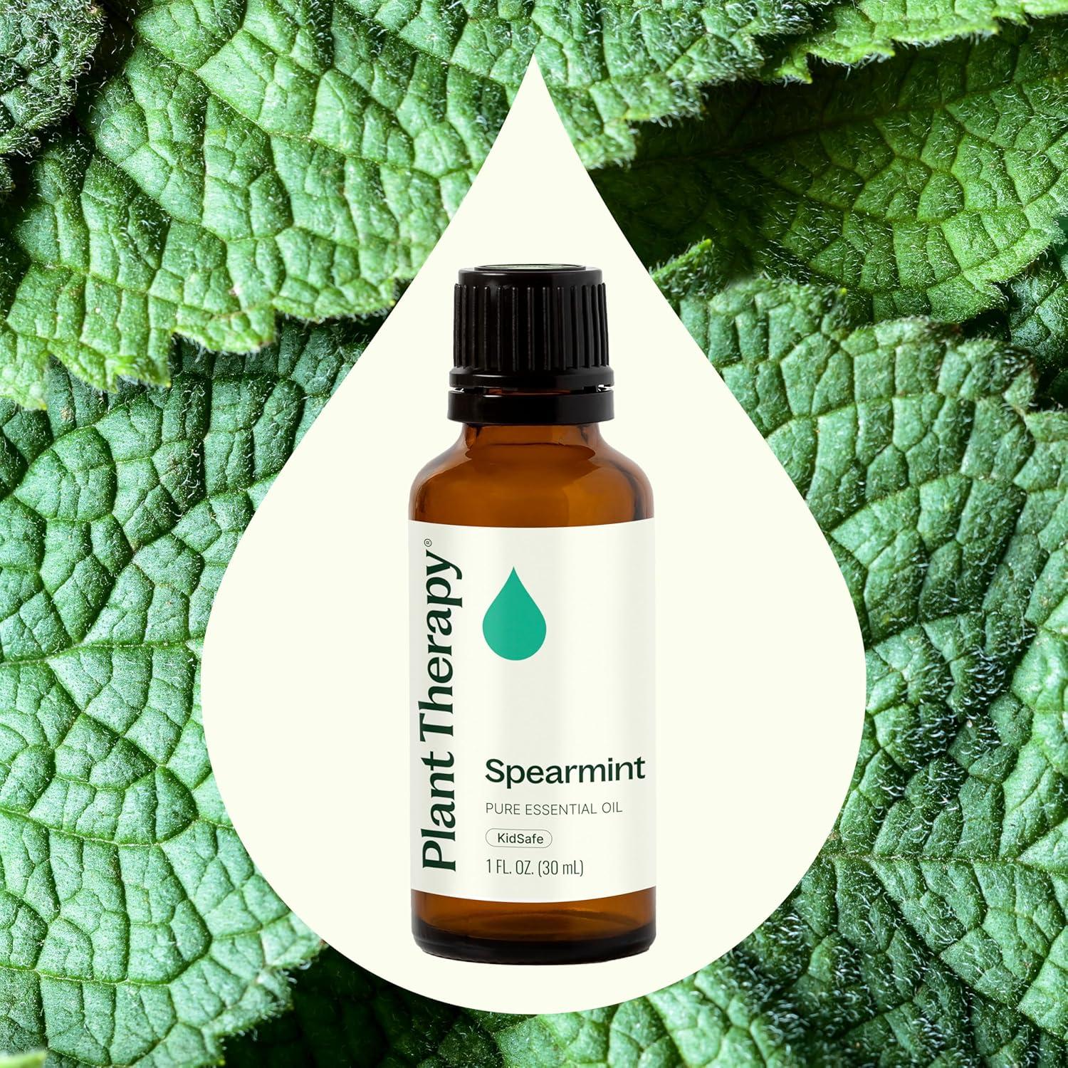 Aceite Esencial de Menta Verde Plant Therapy 30 mL 100% Puro
