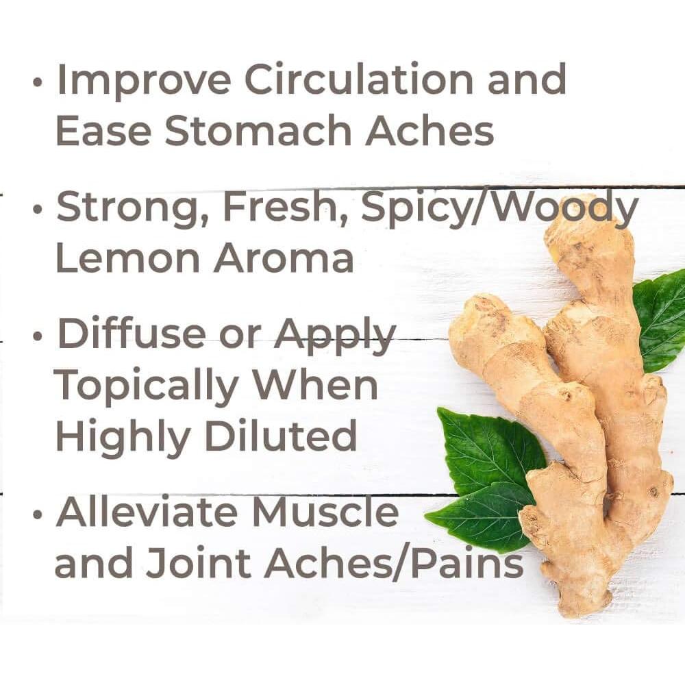 Aceite Esencial de Jengibre CO2 100% Puro 30 mL Plant Therapy