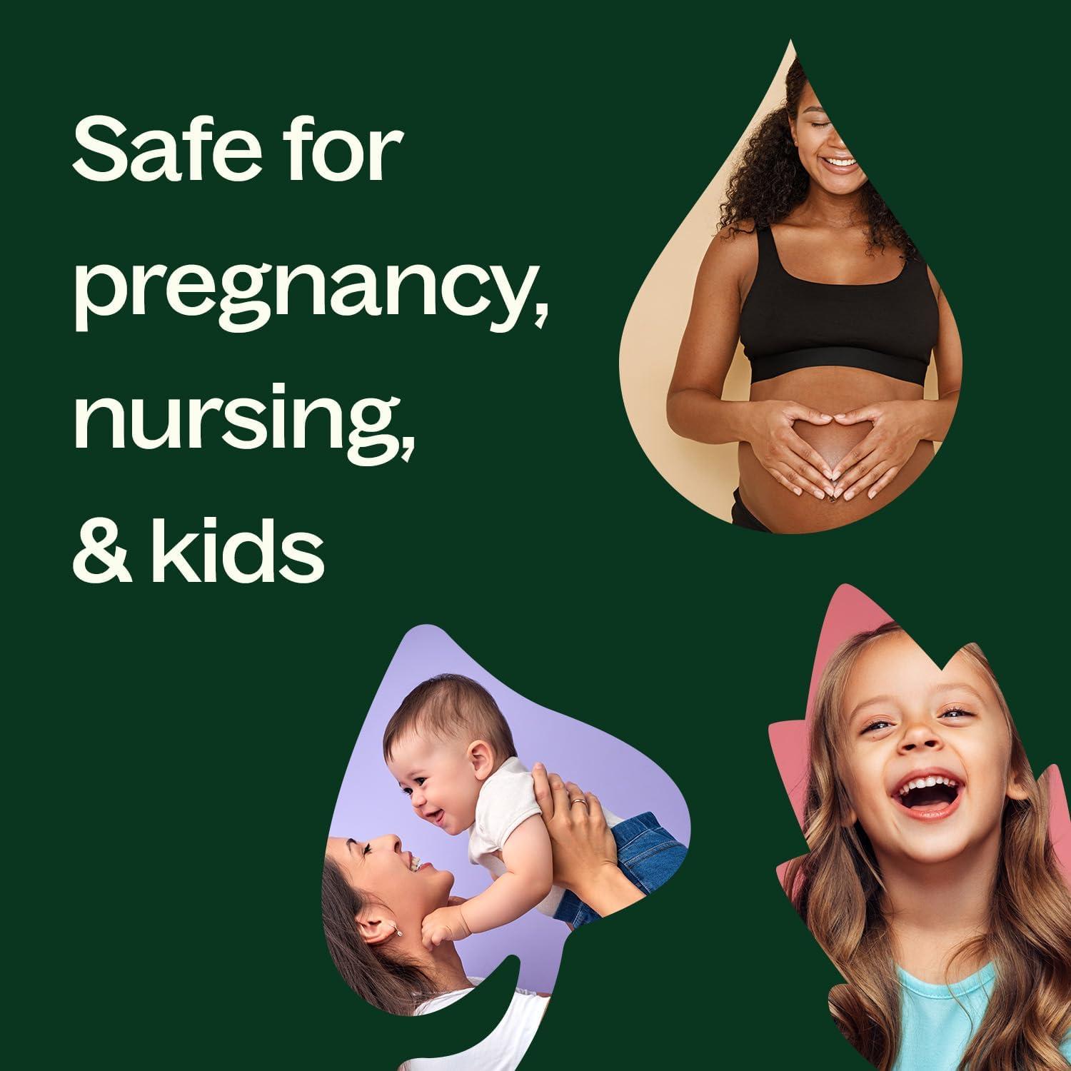 Aceite Esencial de Pino Escocés Plant Therapy 30 mL 100% Puro