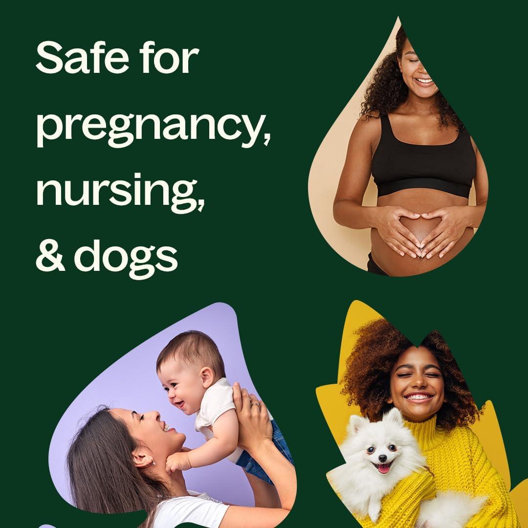 Aceite Esencial de Lima Persa Plant Therapy 10 mL 100% Puro