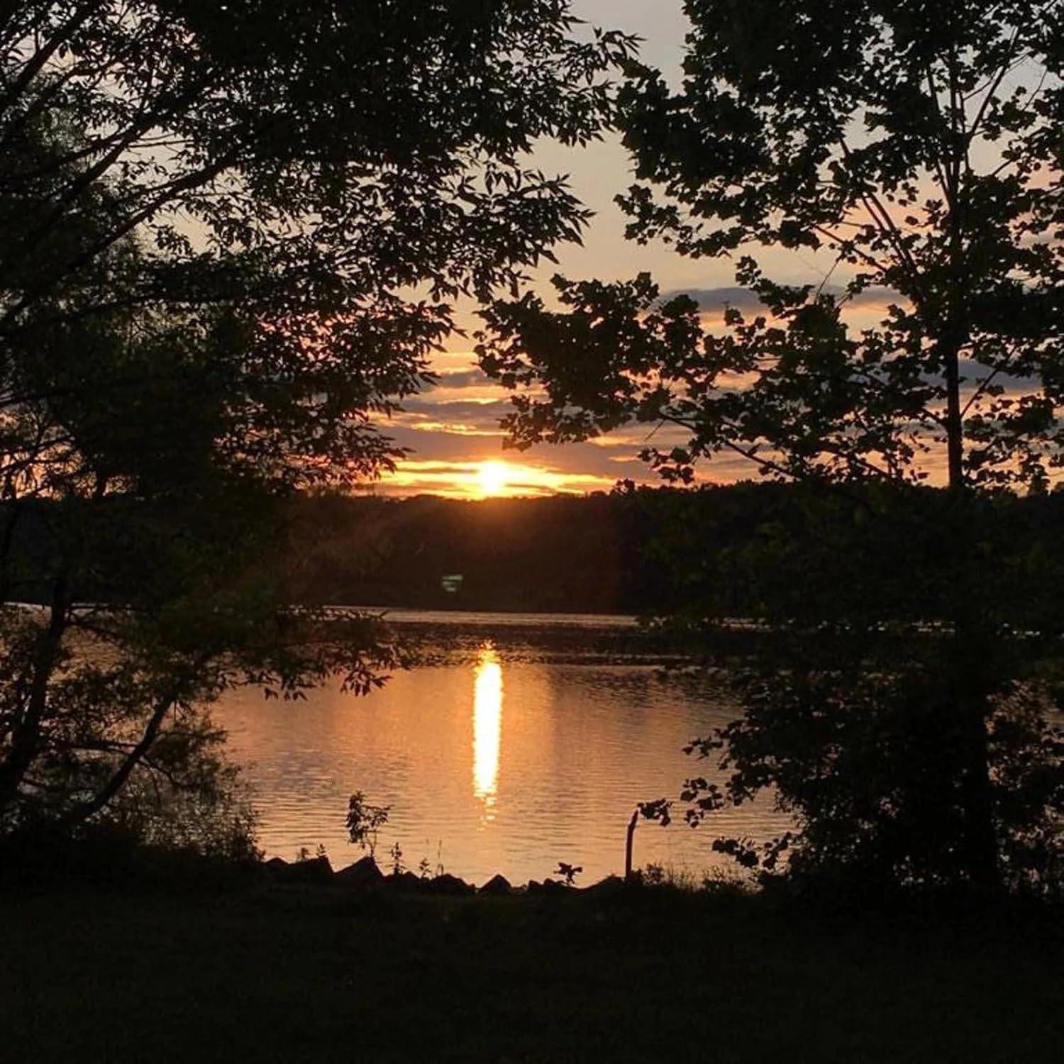 Aceite Esencial de Neroli 100% Puro Sz Essentials 5ml