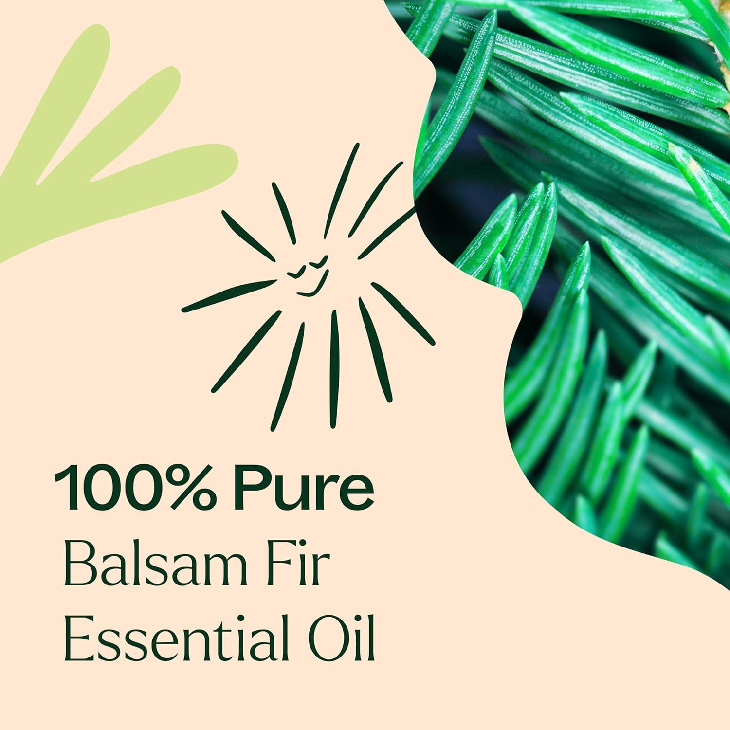 Aceite Esencial de Abeto Balsámico Plant Therapy 10 mL 100% Puro