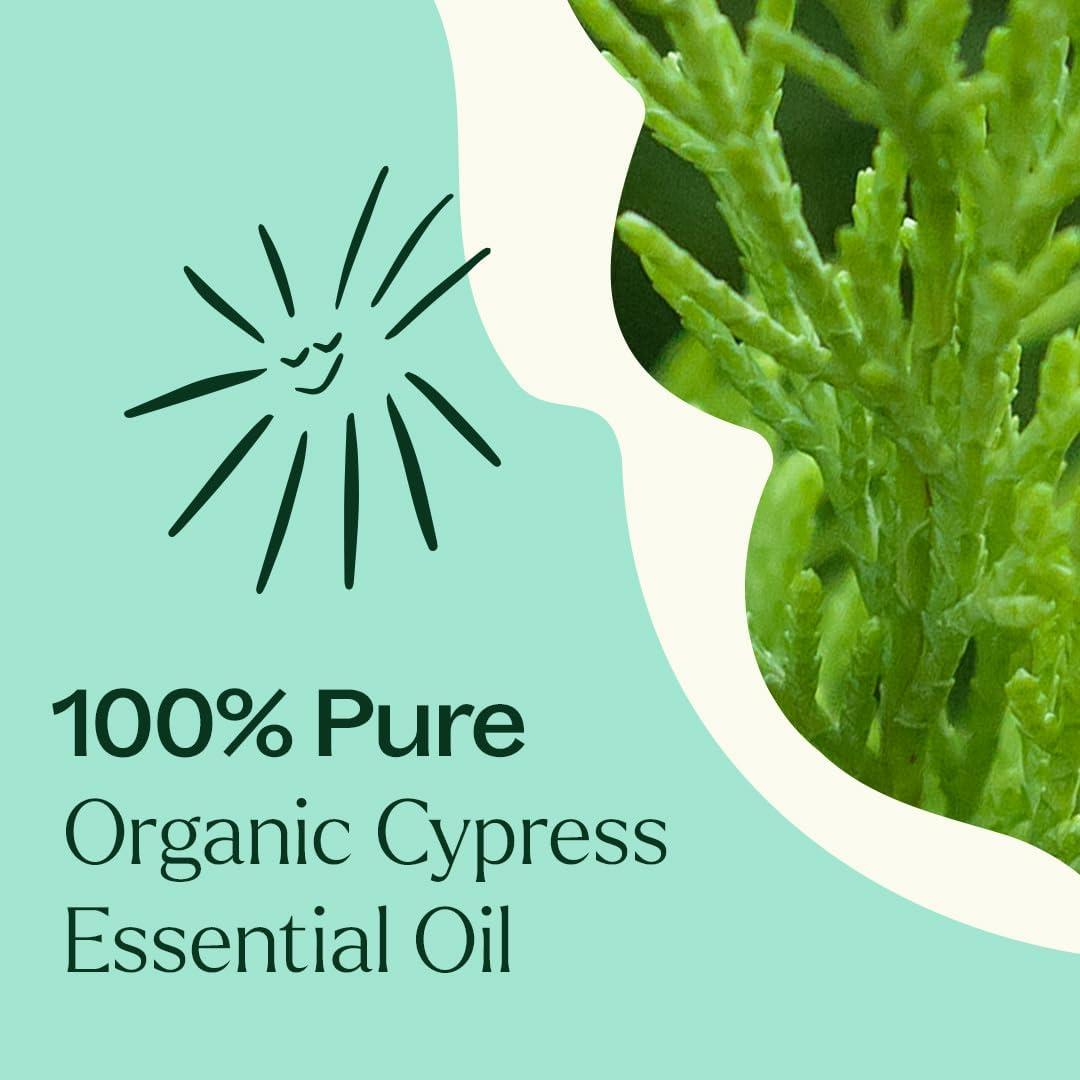 Aceite Esencial de Ciprés Orgánico Plant Therapy 10 mL 100% Puro