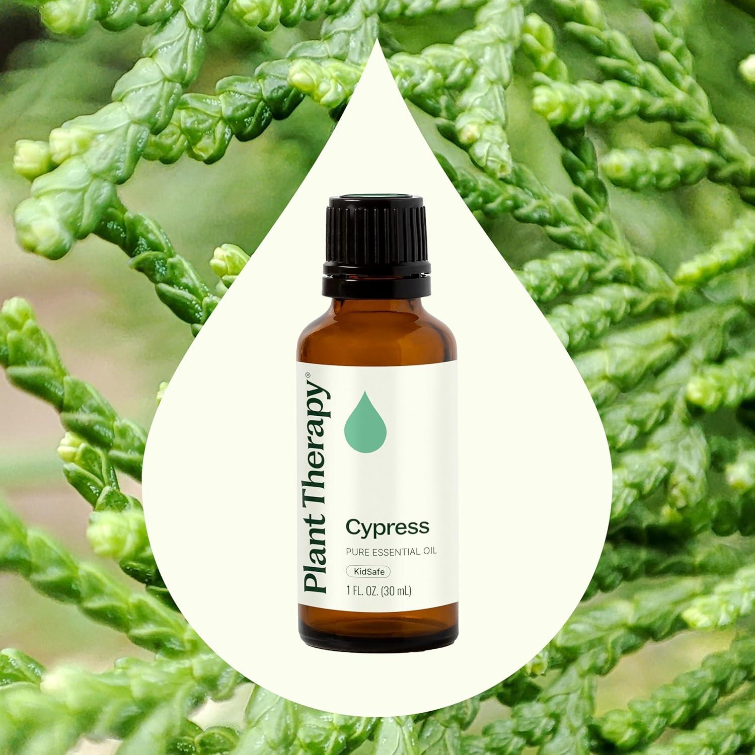 Aceite Esencial de Ciprés 100% Puro Plant Therapy 30 mL