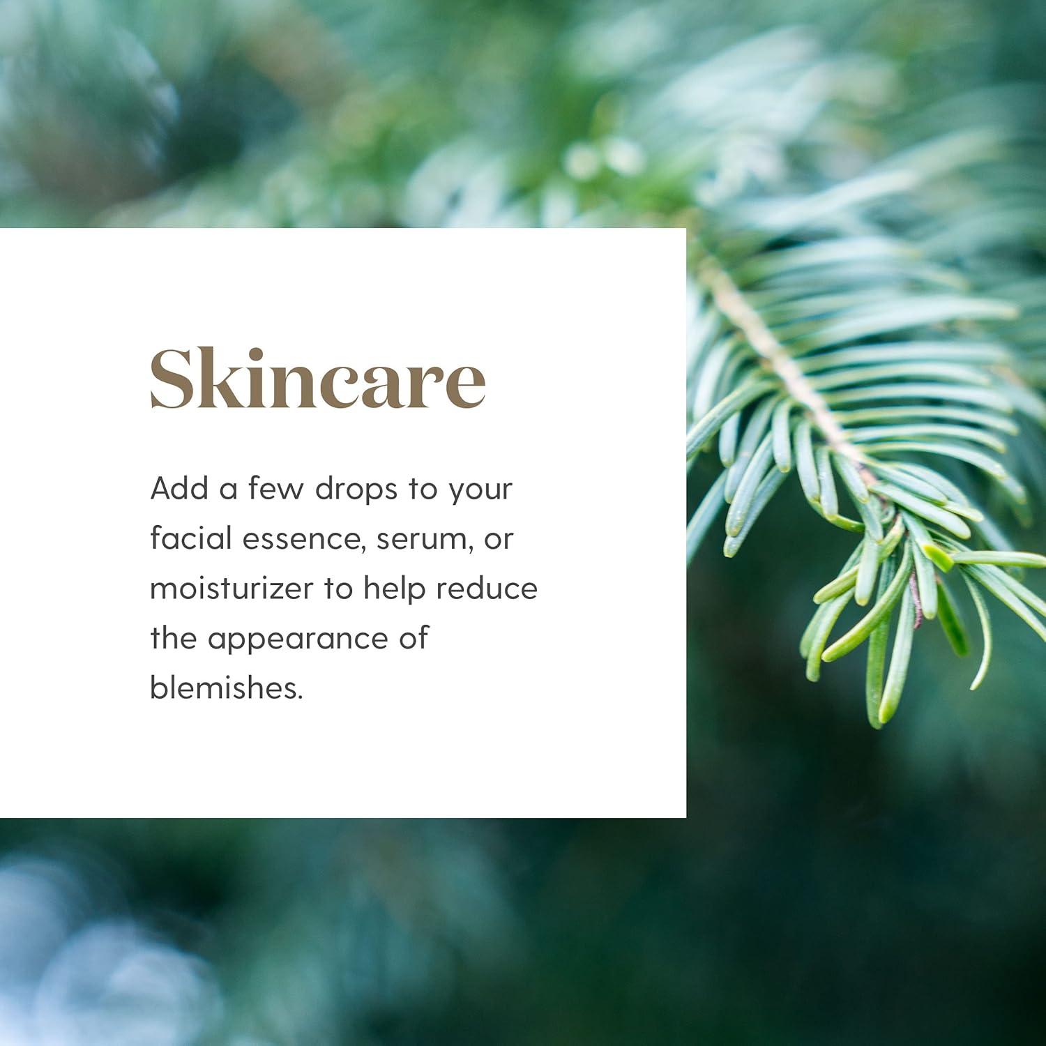 Aceite Esencial Ciprés 15ml Young Living - Aroma Energizante