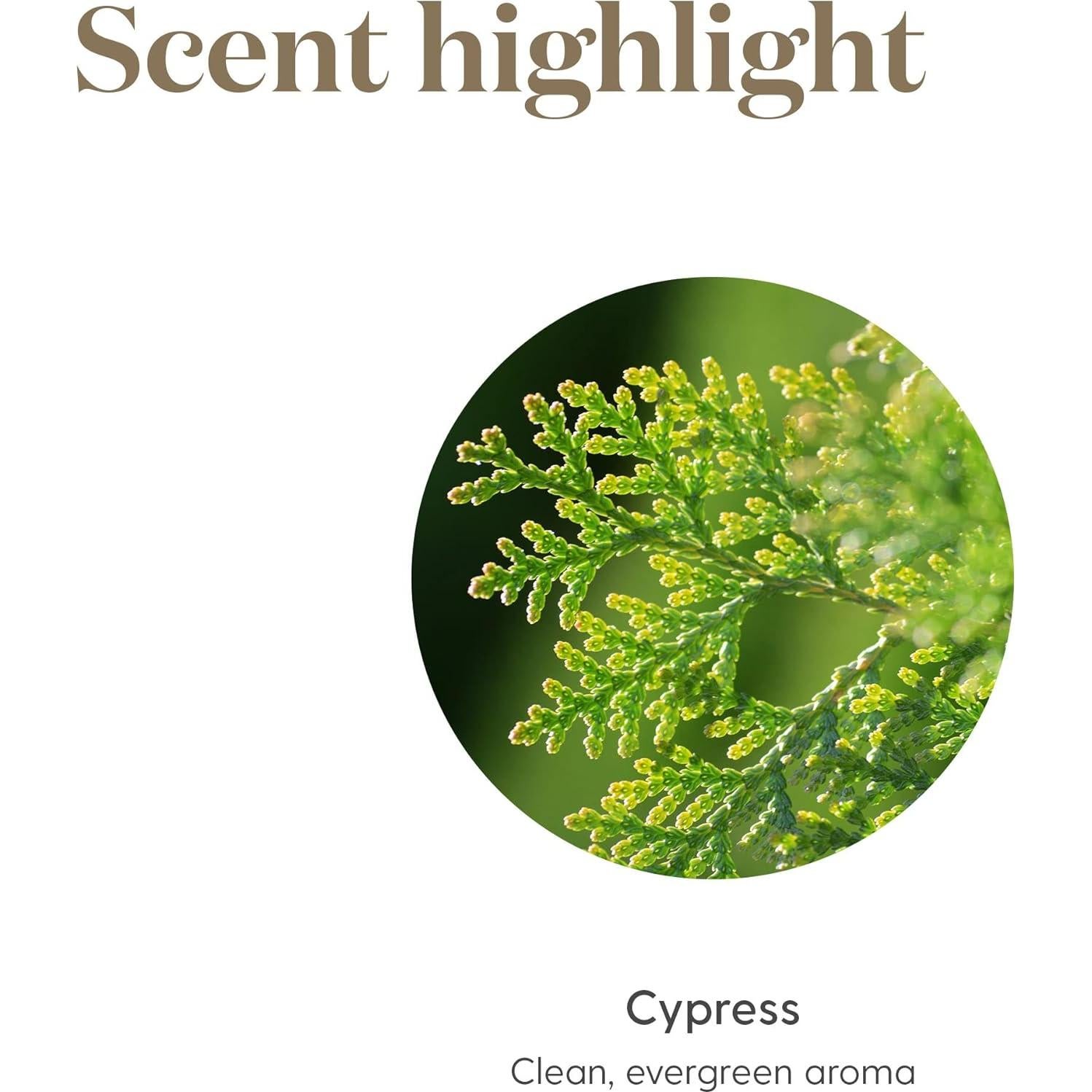 Aceite Esencial Ciprés 15ml Young Living - Aroma Energizante