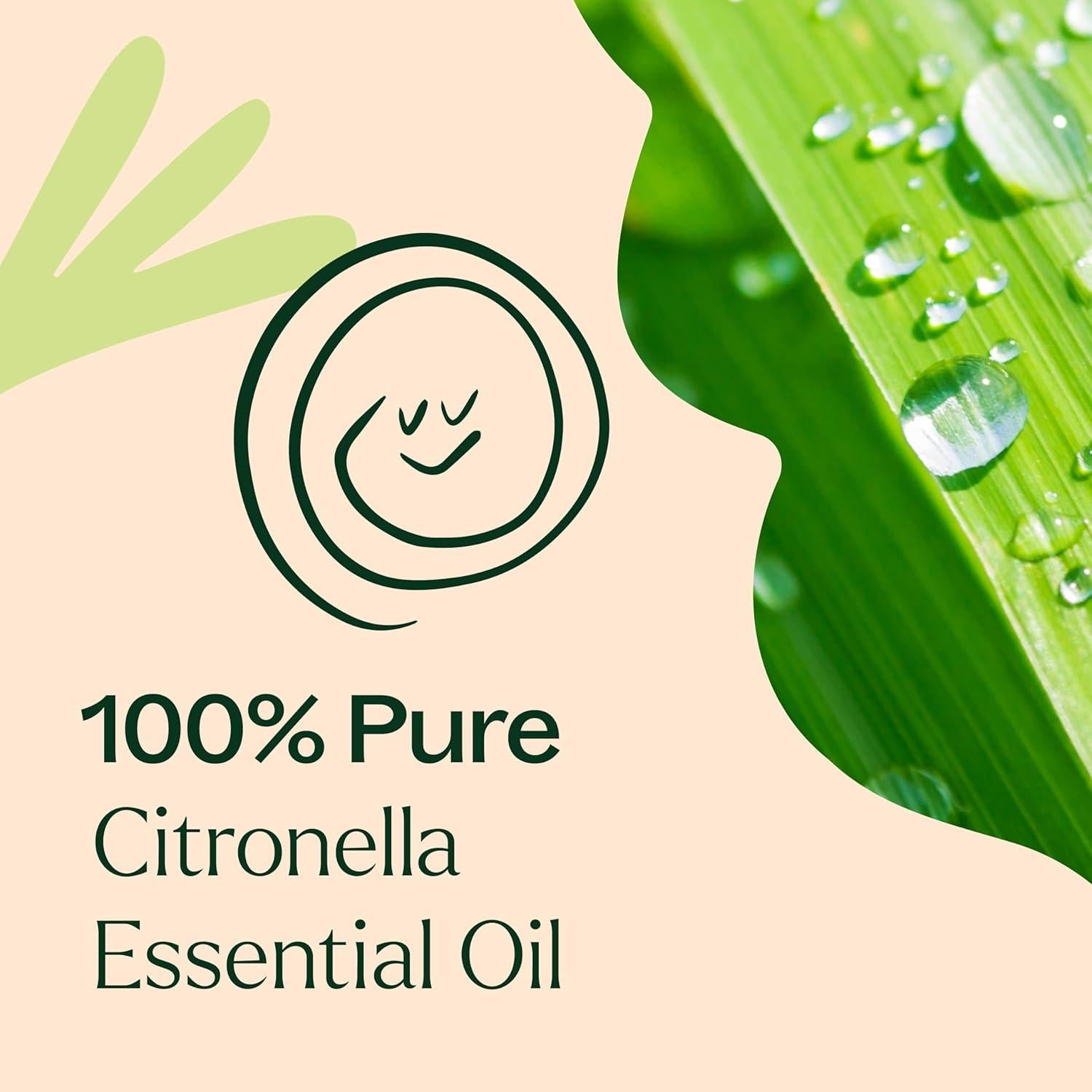 Aceite Esencial de Citronela Plant Therapy 100 mL 100% Puro
