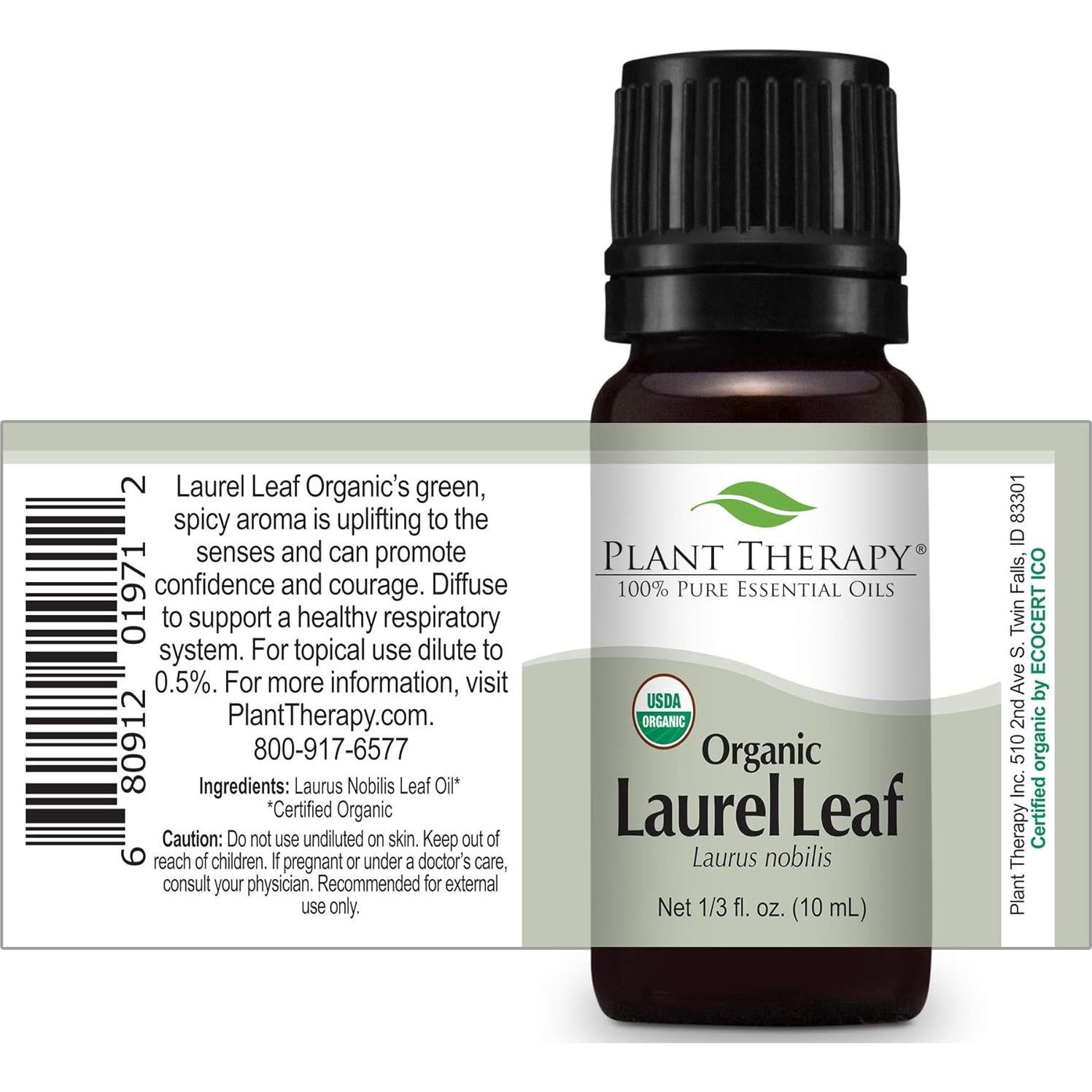 Aceite Esencial de Hoja de Laurel 10 mL Plant Therapy 100% Puro