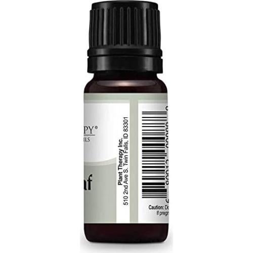 Aceite Esencial de Hoja de Laurel 10 mL Plant Therapy 100% Puro