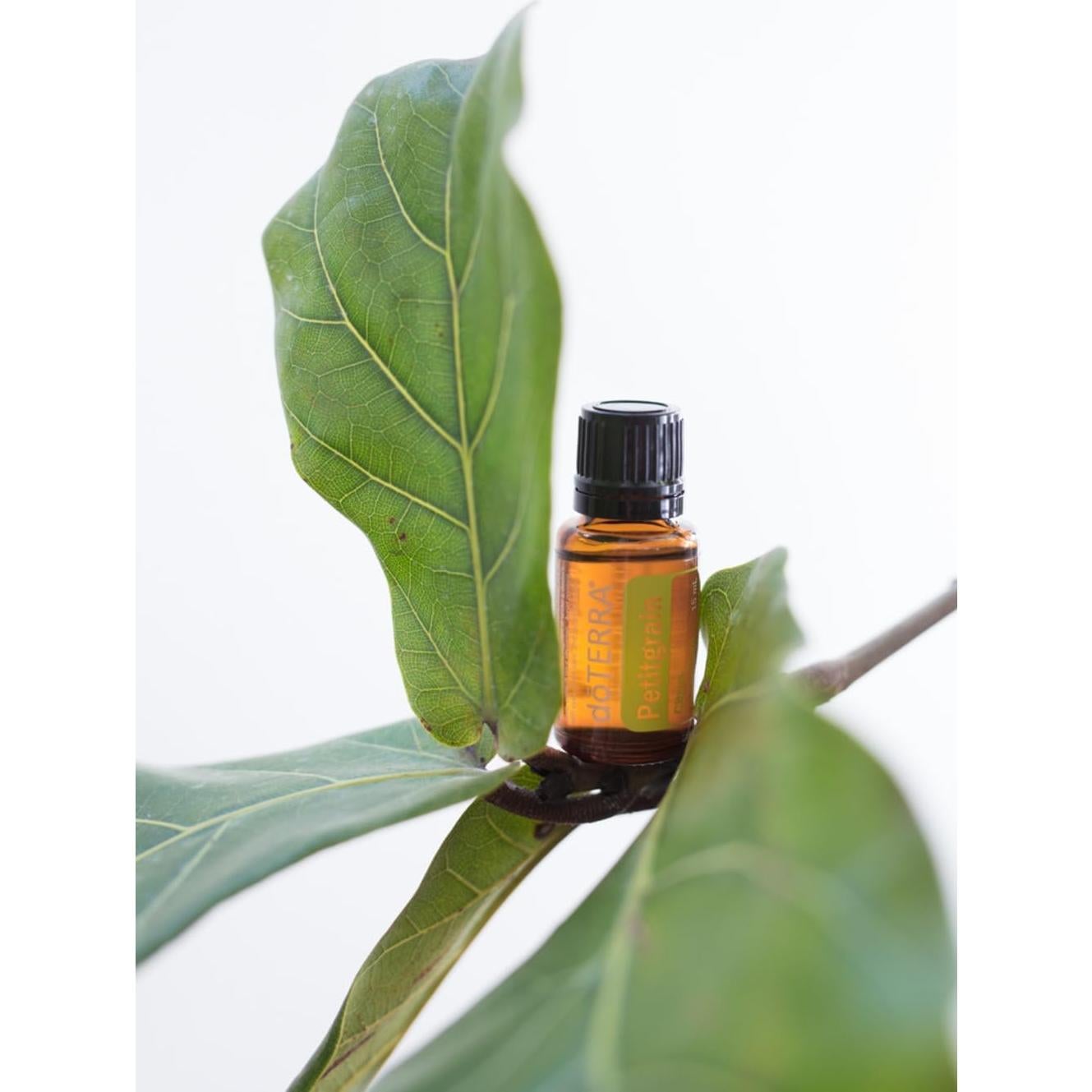 Aceite Esencial doTERRA Petitgrain 15 mL - Hidratante Capilar