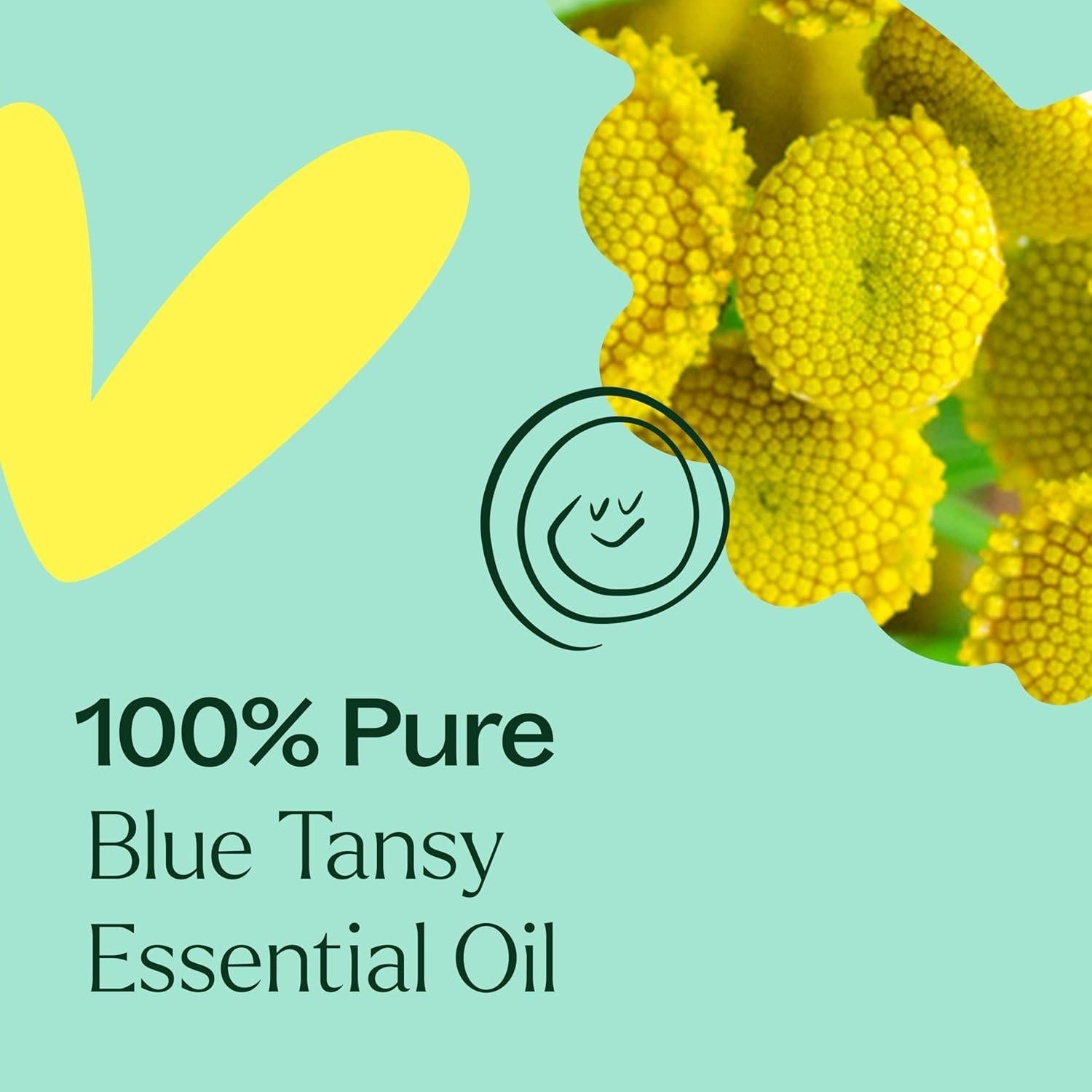 Aceite Esencial de Tanaceto Azul Plant Therapy 100% Puro 5 mL