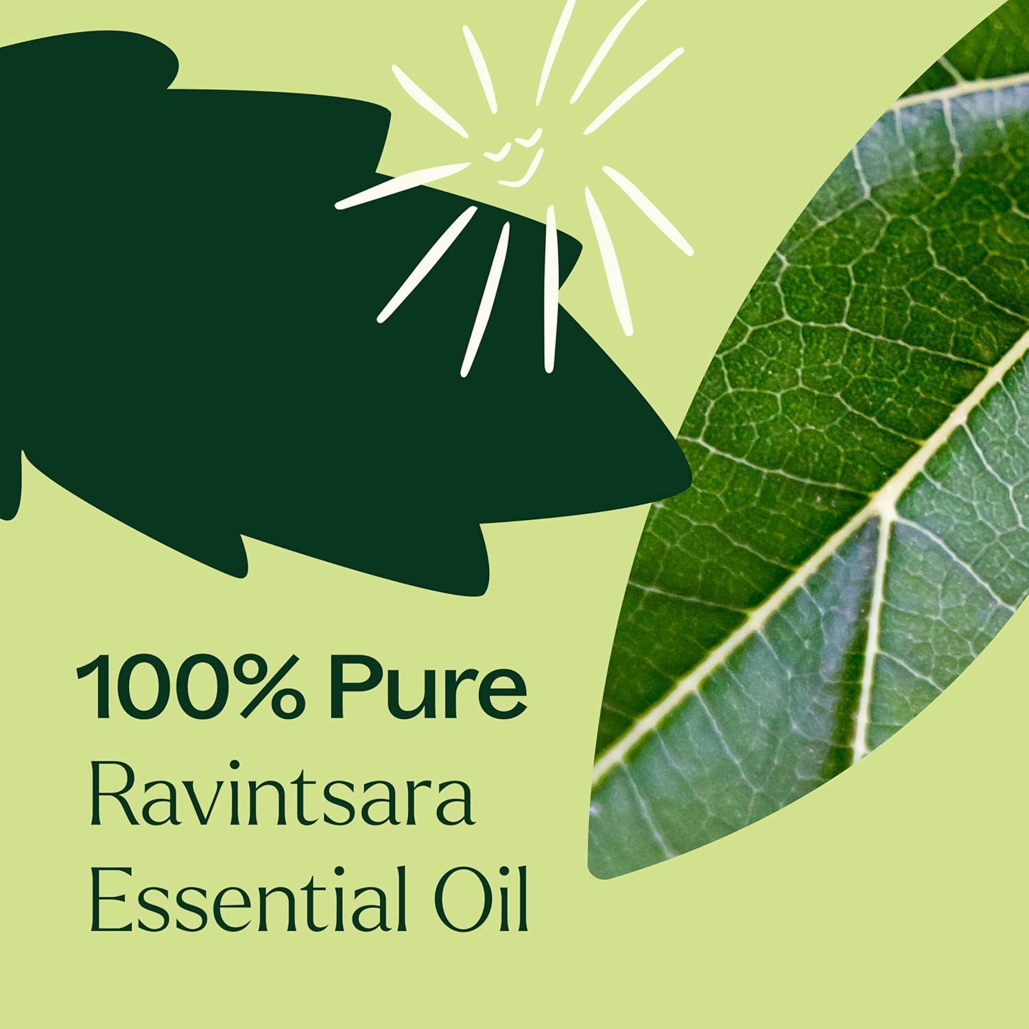 Aceite Esencial Ravintsara Plant Therapy 30 mL 100% Puro