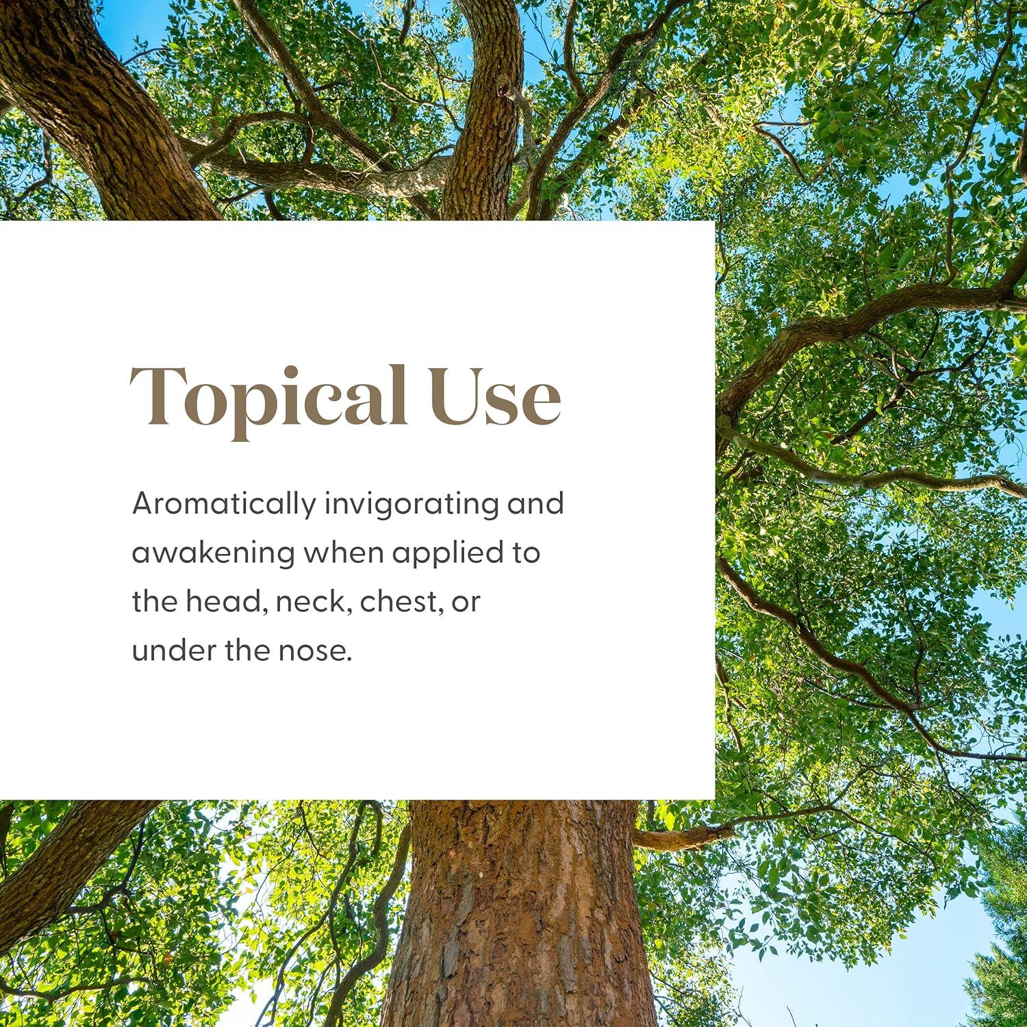 Aceite Esencial Ravintsara Young Living 5ml - Aroma Revitalizante