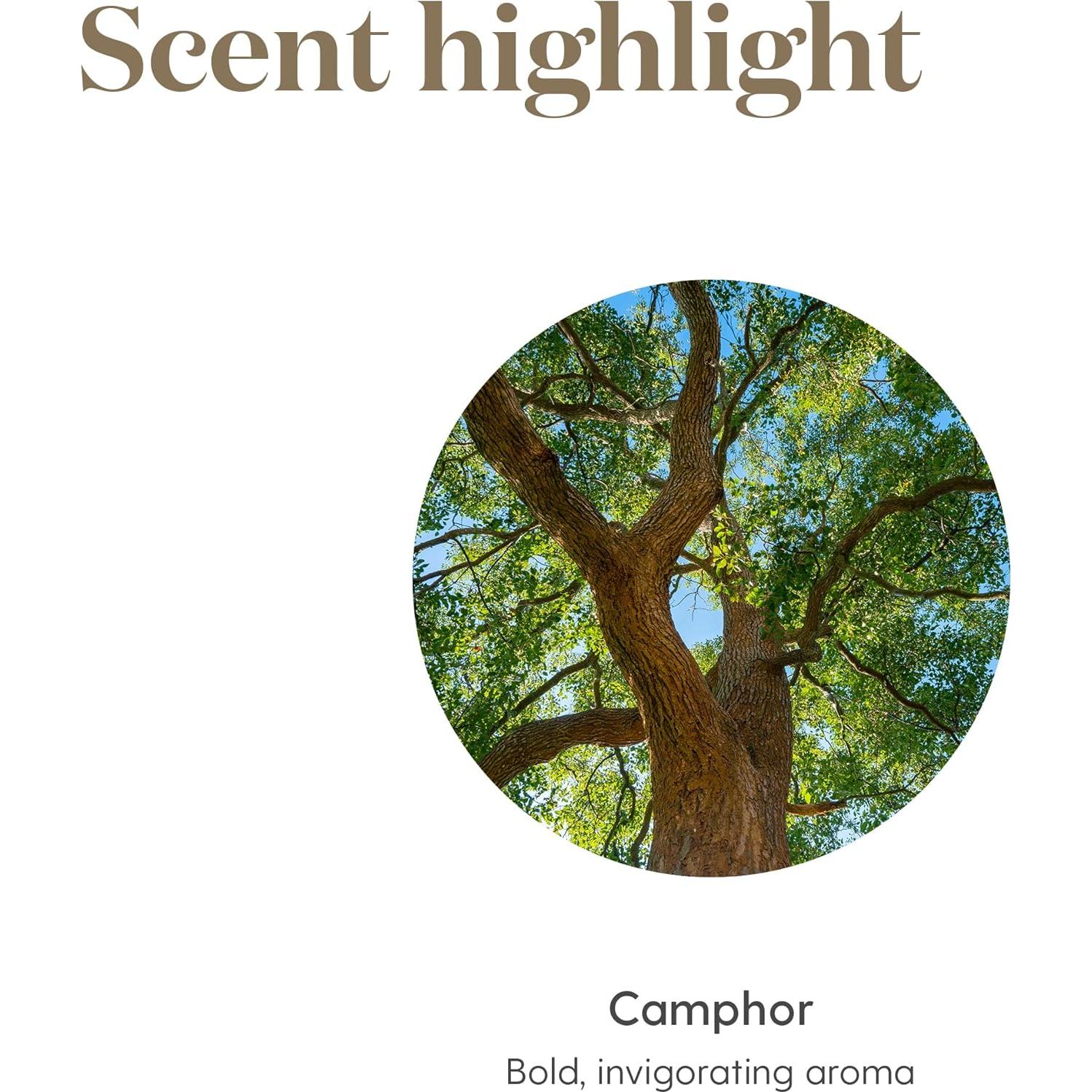 Aceite Esencial Ravintsara Young Living 5ml - Aroma Revitalizante