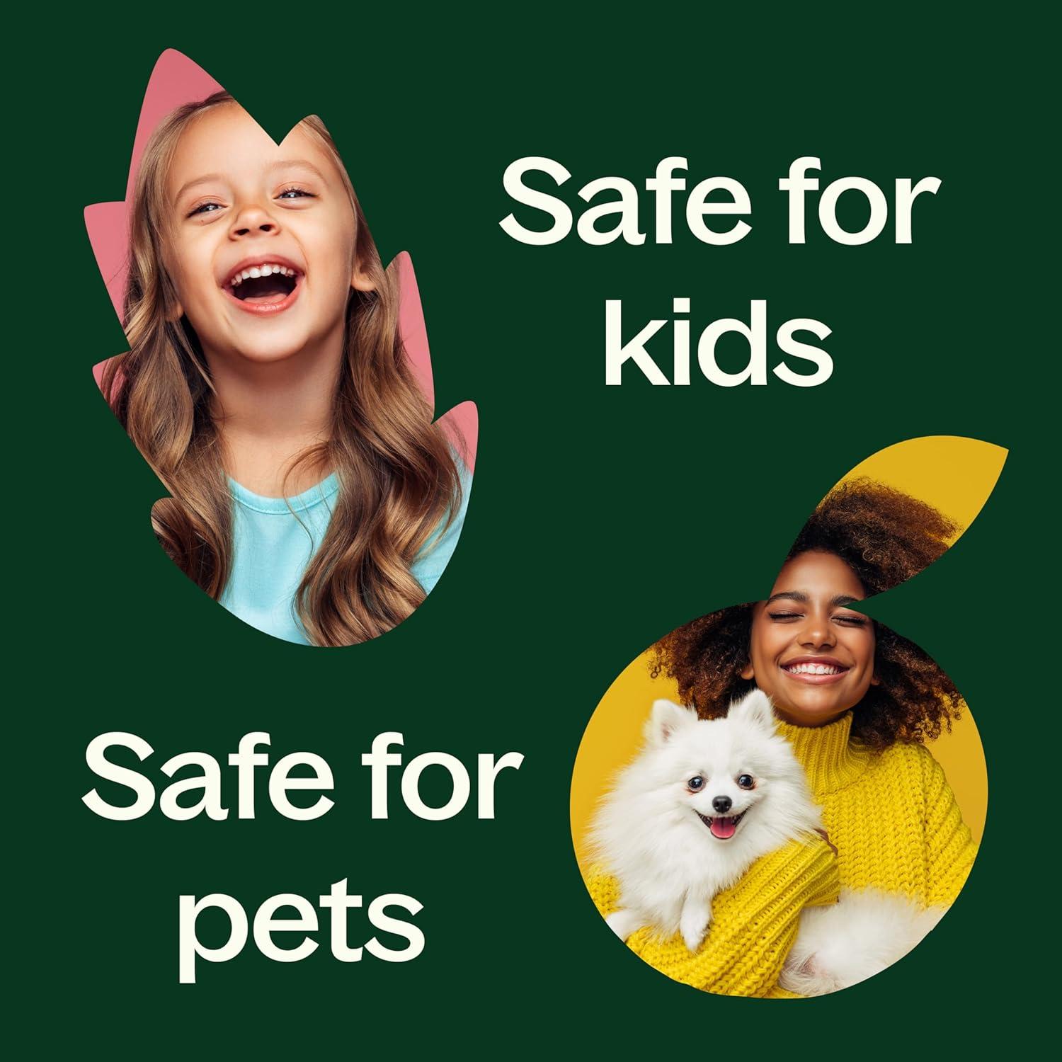 Extracto Botánico de Vainilla Plant Therapy 30 mL 100% Puro