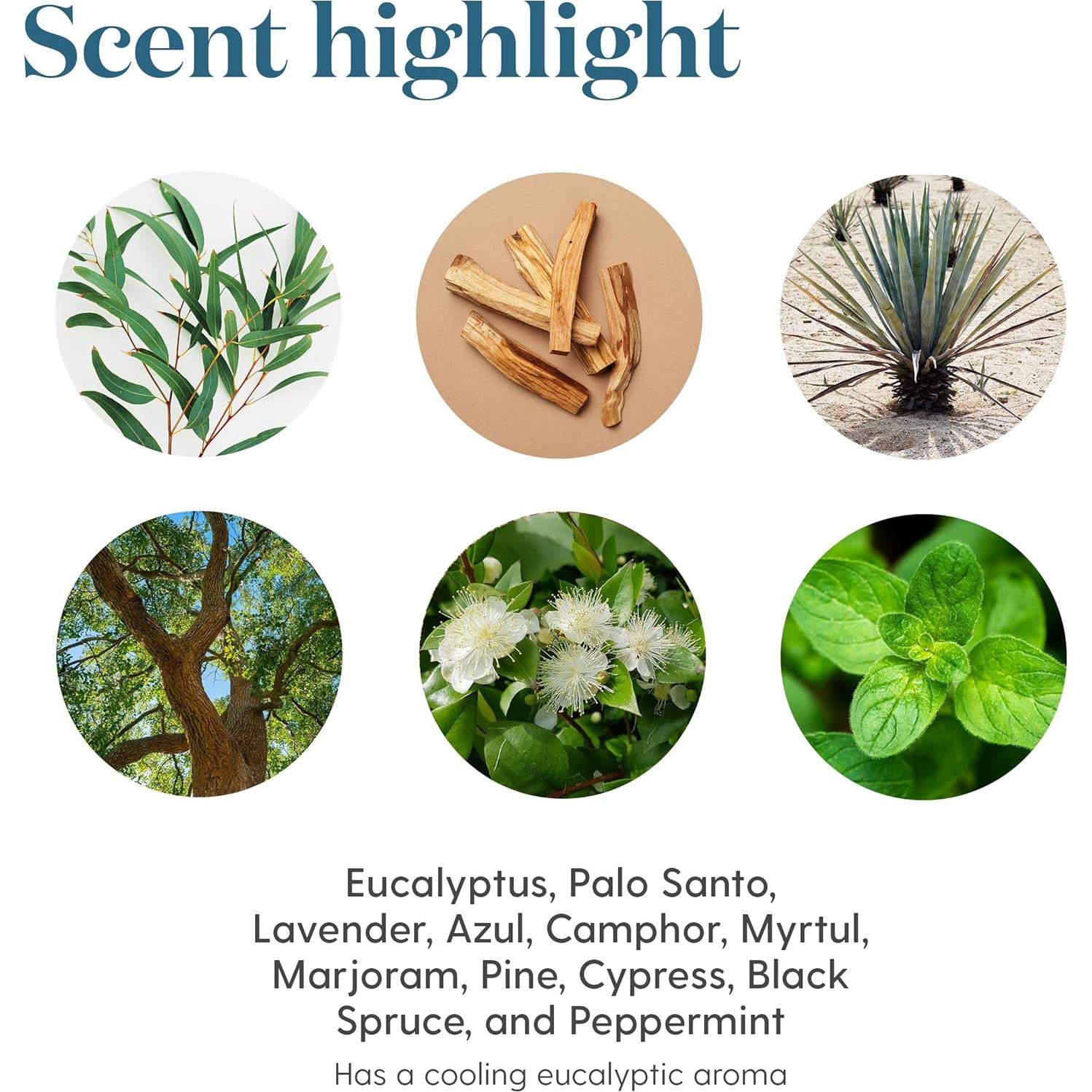 Aceite Esencial Pre-Diluido Young Living KidScents 5ml - Eucalipto, Mirto y Pino