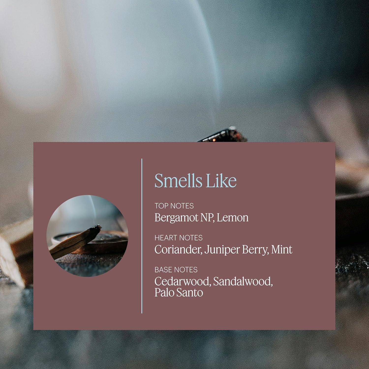 Aera Mini Aceite Esencial Palo Santo 5ml - Fragancia Purificante