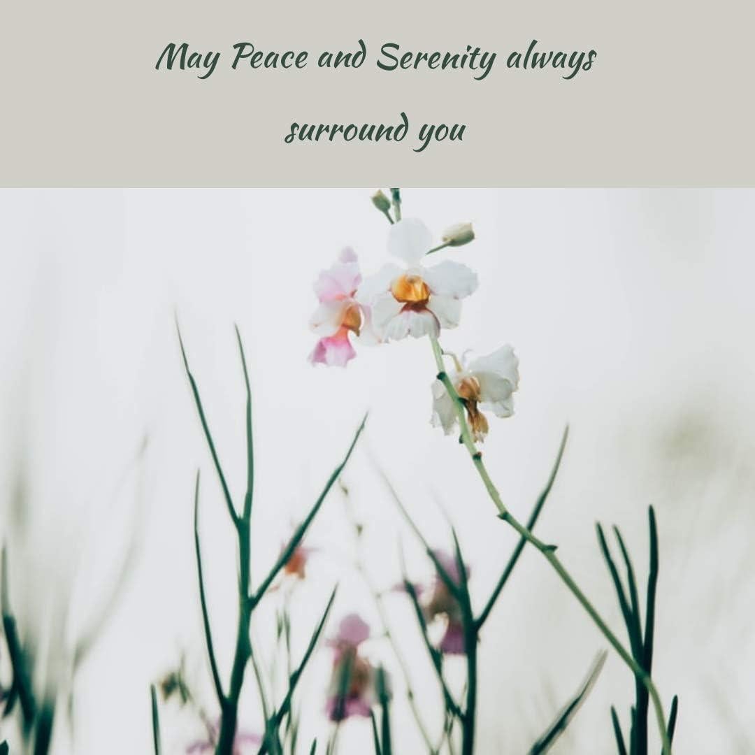 Aceite Esencial Puro de Galbano Greenwood 10ml - Terapéutico