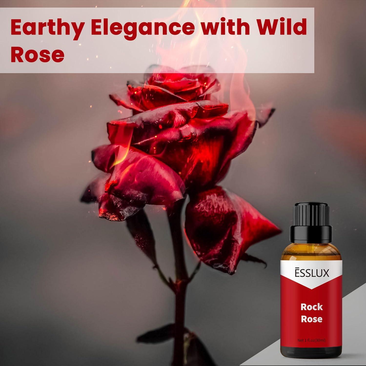 Aceite Esencial de Té Blanco y Rosa de Roca 3x30ml