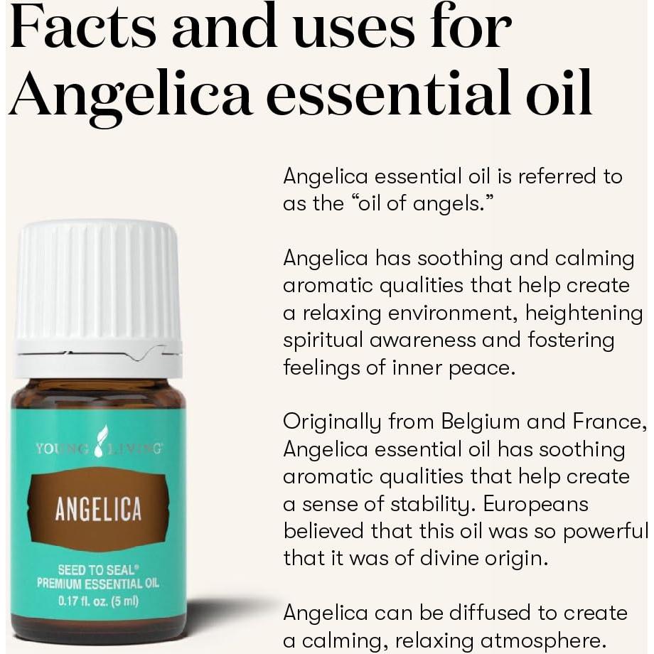 Aceite Esencial Angélica Young Living 5ml - Aroma Calmante