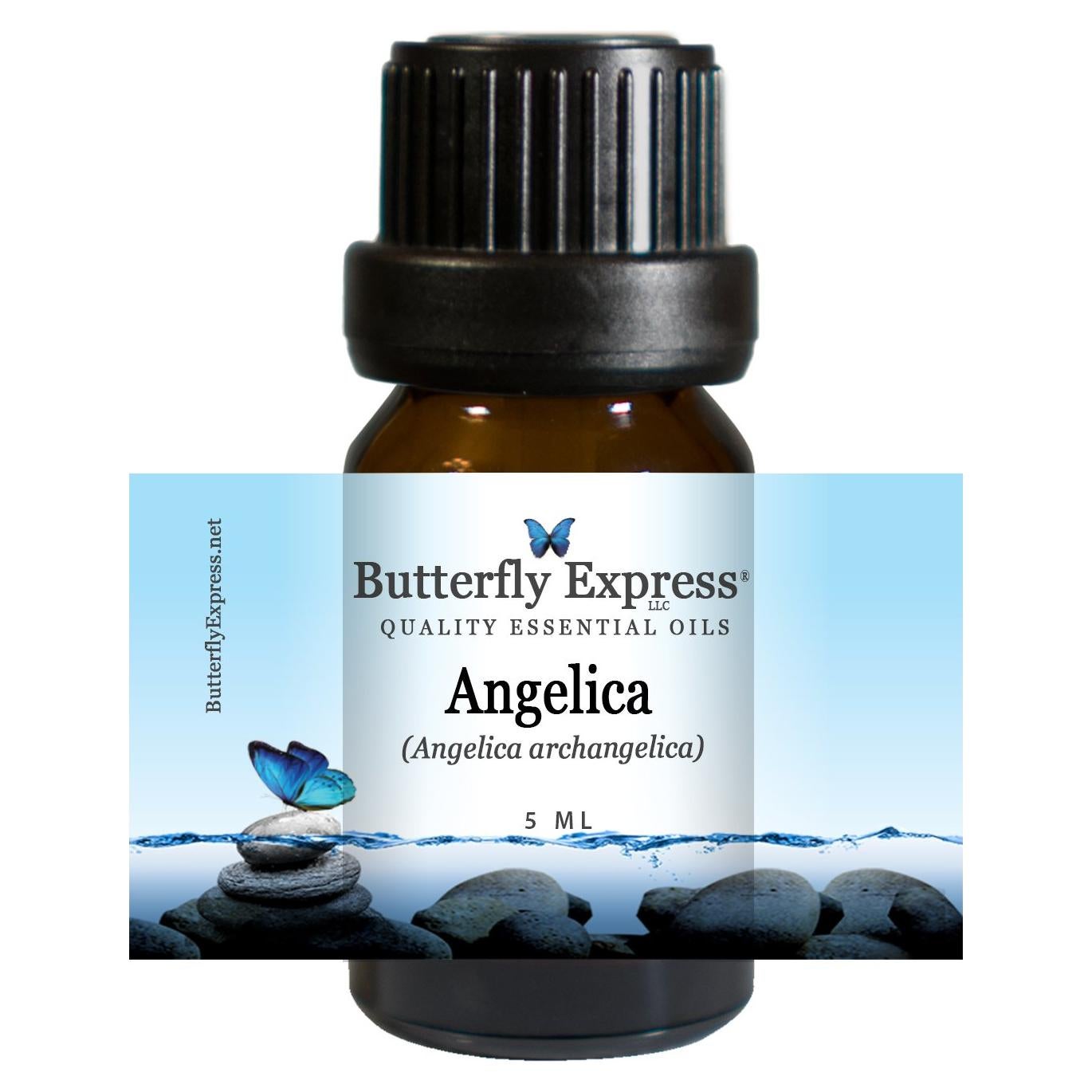 Aceite Esencial de Angélica 5ml 100% Puro Butterfly Express