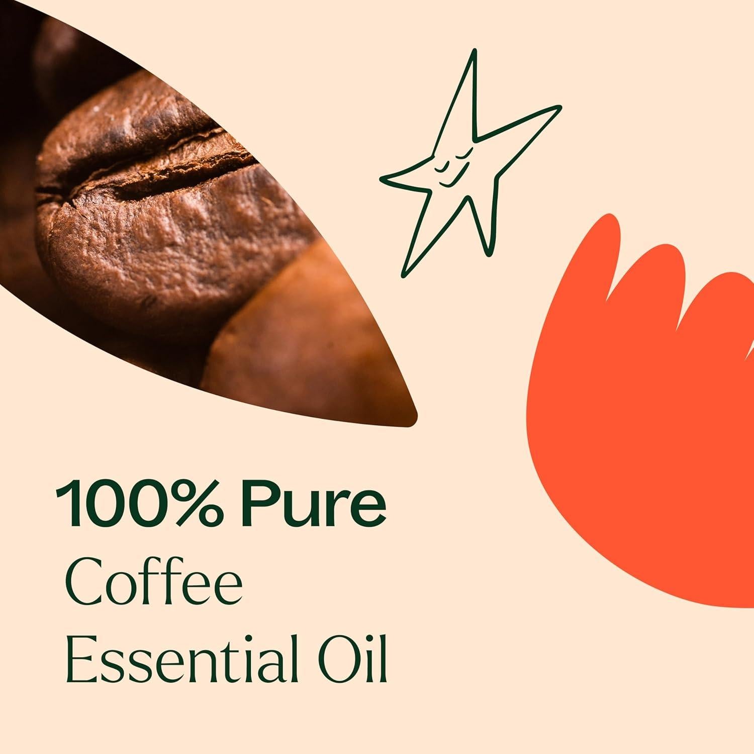 Aceite Esencial de Café Plant Therapy 100% Puro 30 mL