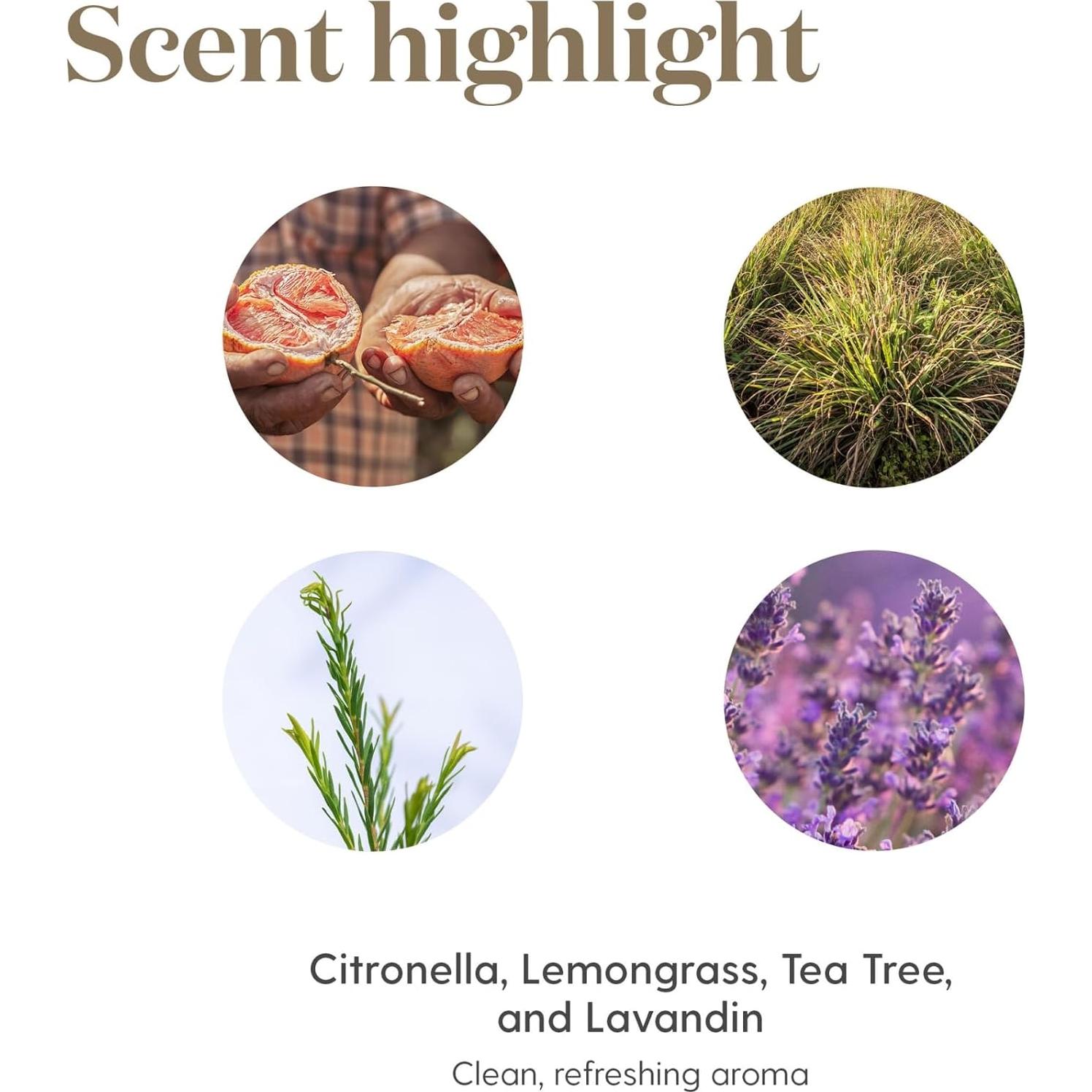 Aceite Esencial de Purificación 15ml Young Living