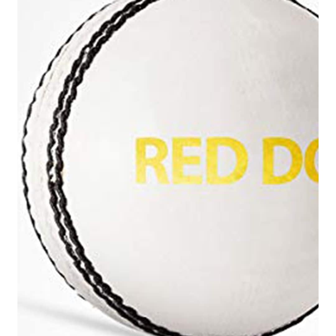 Pelota de Cricket DSC Red Dot de Cuero Estándar Blanca