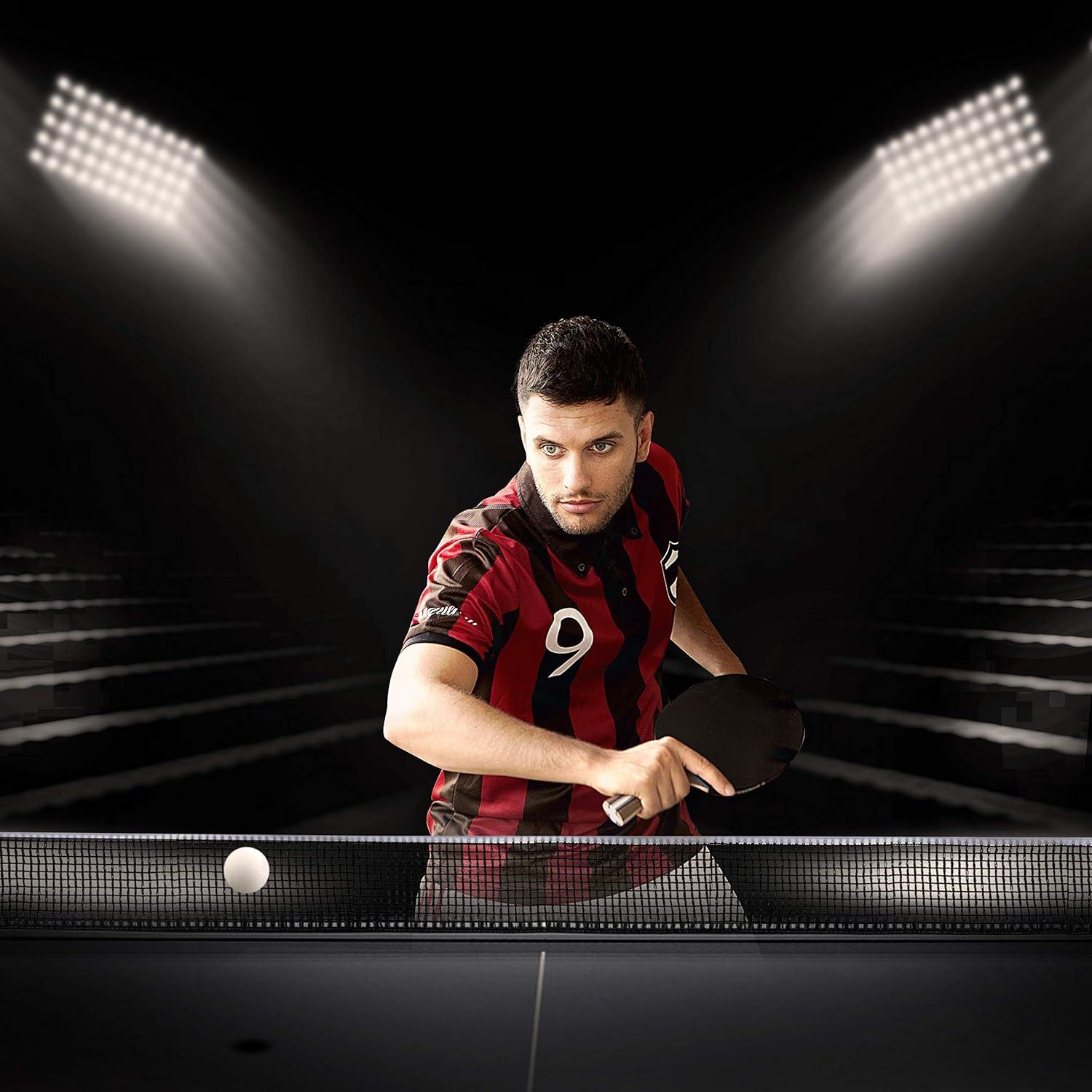 Pala de Ping Pong Spindragon Apex Carbon Profesional 176g