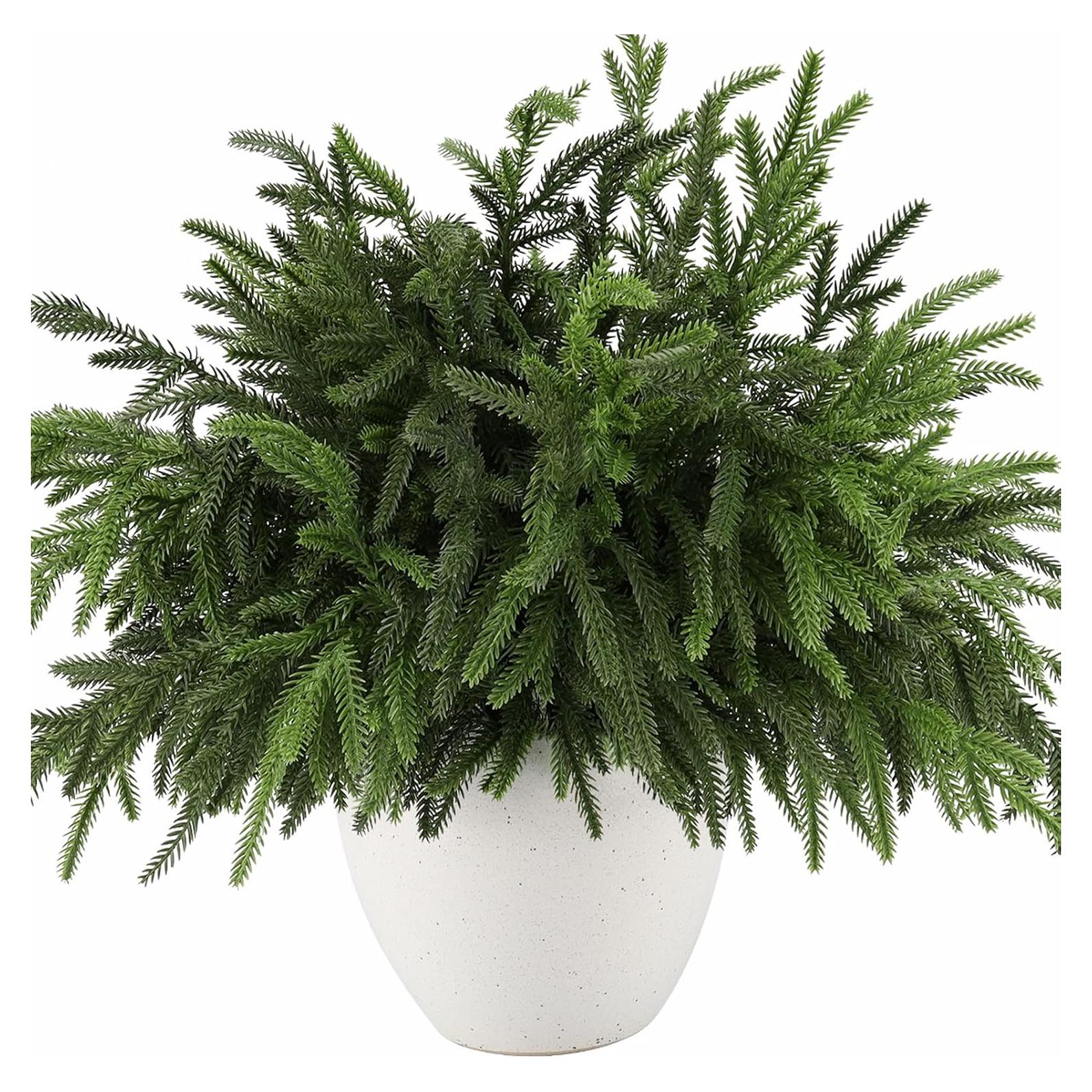 12 Ramas de Pino Norfolk Artificiales 45.72cm Wsorik