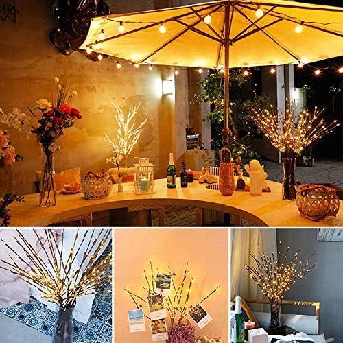 Luces de Ramas LED Ruutcasy 63.5 cm 20 LEDs Blanco Cálido