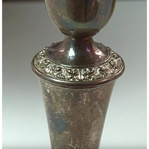 Mantenimiento de Plata Nushine 100ml - Con Plata Pura