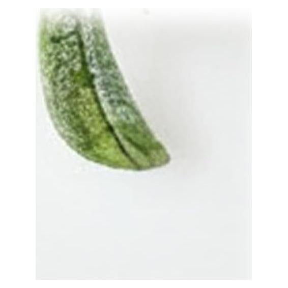 Muérdago Artificial Colgante TIESOME 23cm Verde Decoración