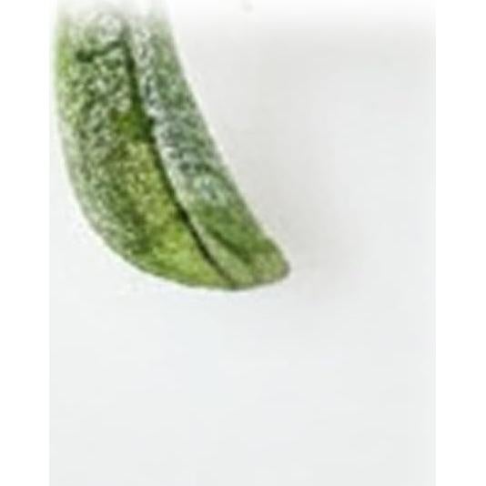 Muérdago Artificial Colgante TIESOME 23cm Verde Decoración