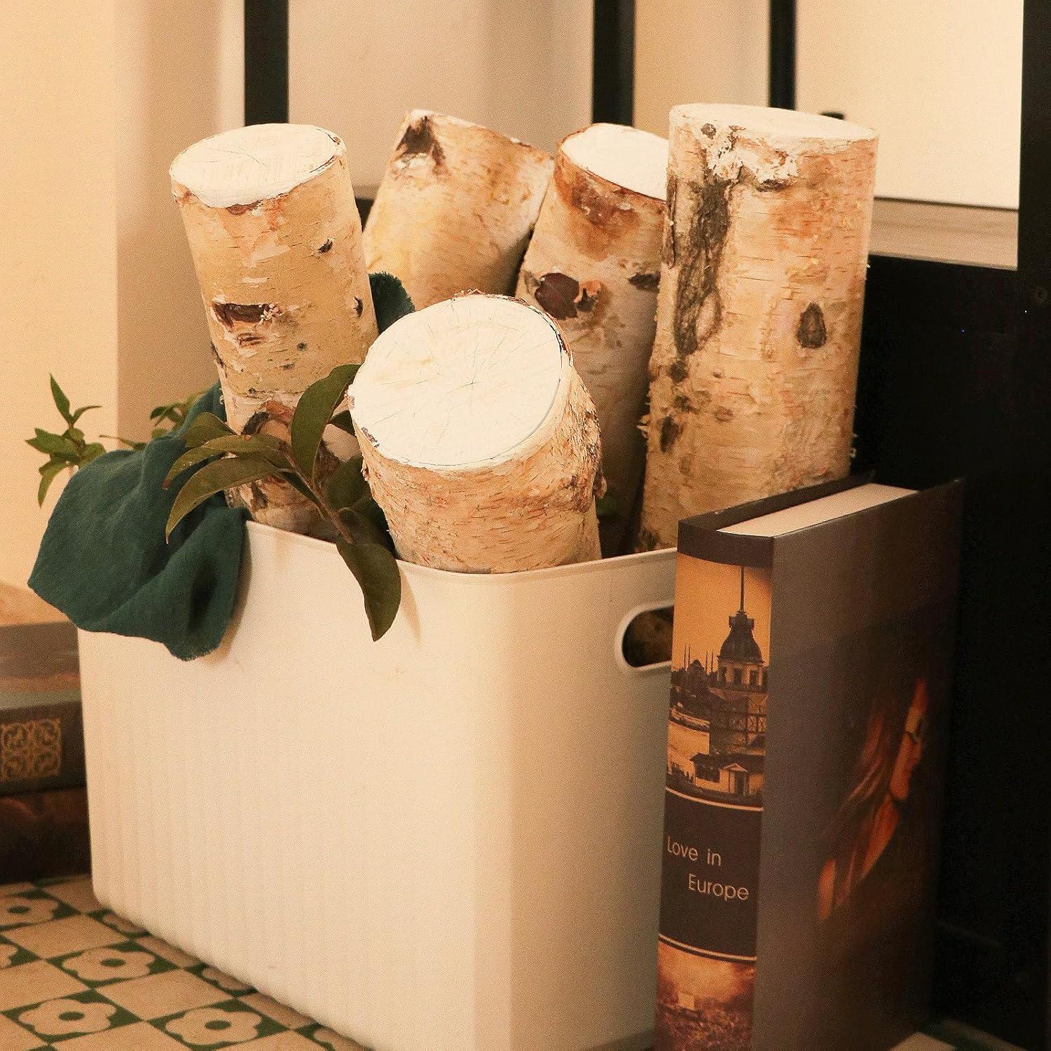 Registros de Abedul Grandes para Decoración de Chimenea - Juego de 5