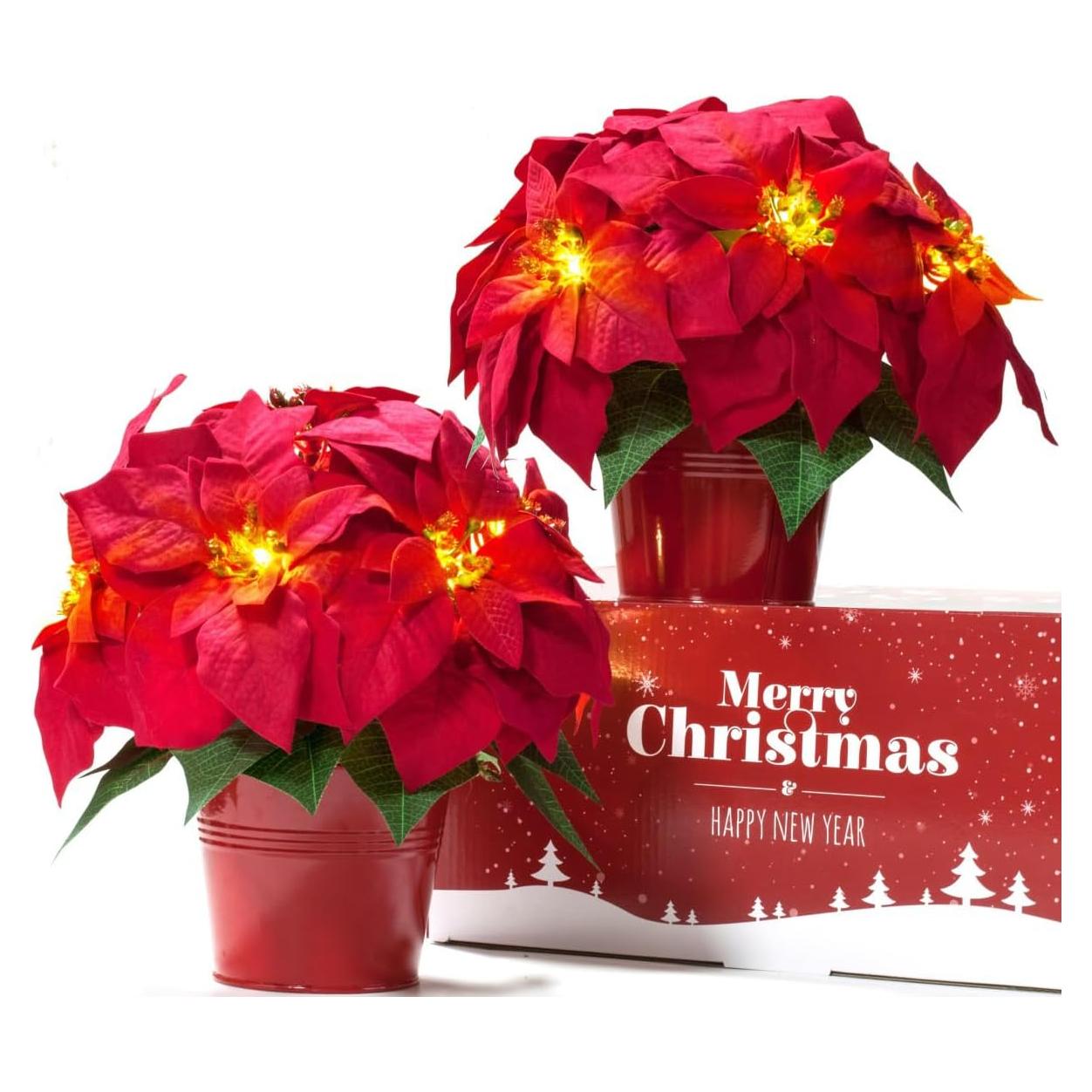 Paquete de 2 Poinsettias Artificiales Iluminadas HOMESEASONS 25.4 cm