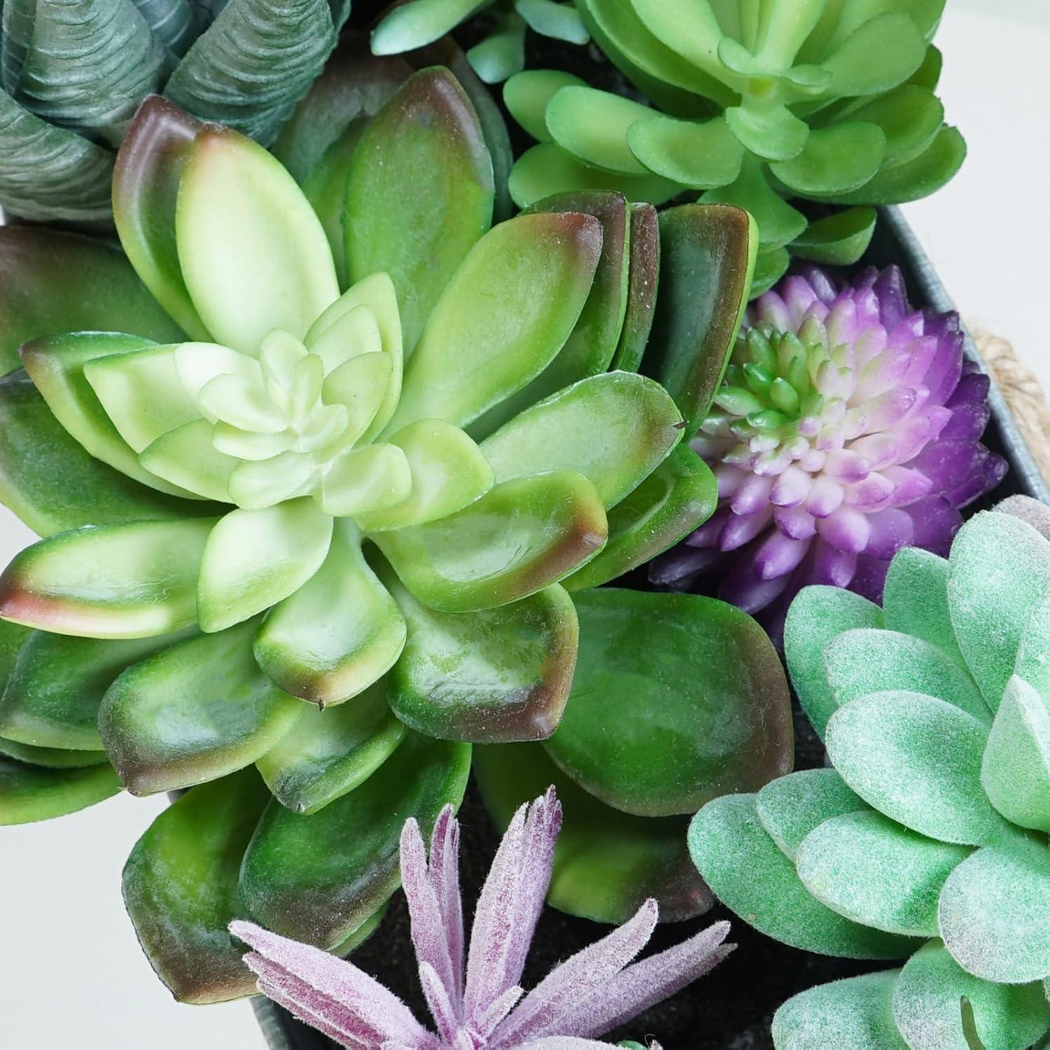 Arreglo de Suculentas Artificiales Winlyn en Maceta Ovalada 27cm