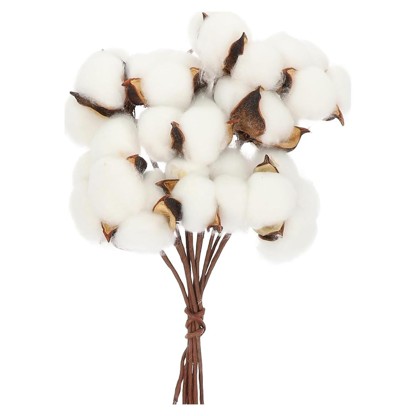Ramo de Algodón Seco Artificial Abaodam - 10 Ramas 28x6cm