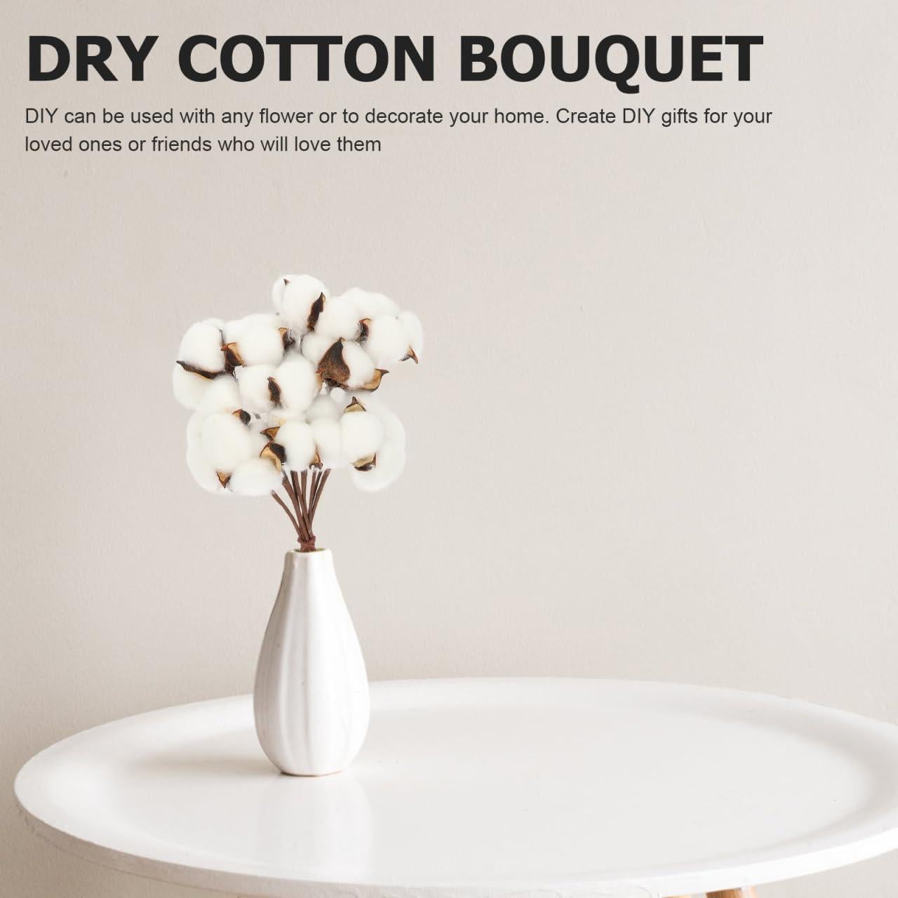 Ramo de Algodón Seco Artificial Abaodam - 10 Ramas 28x6cm