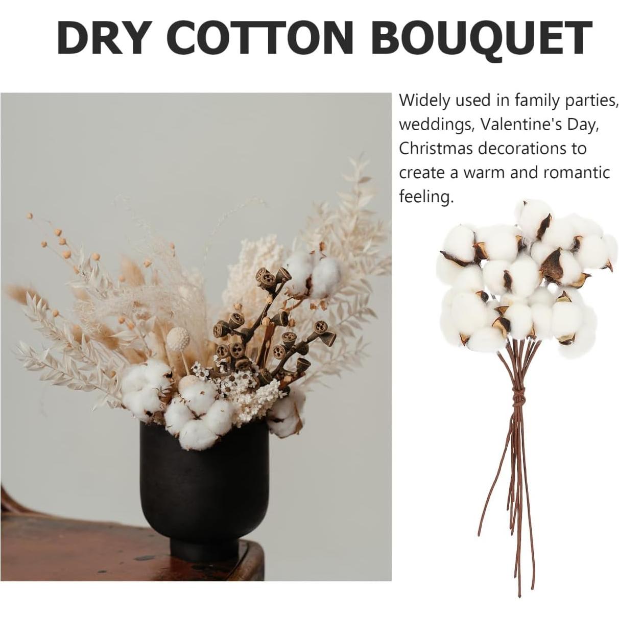 Ramo de Algodón Seco Artificial Abaodam - 10 Ramas 28x6cm