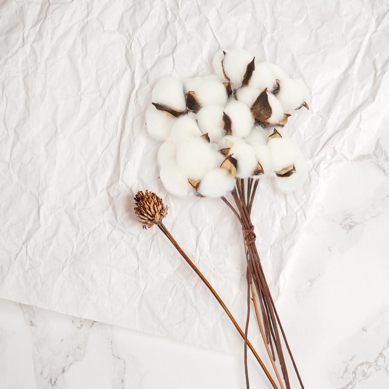 Ramo de Algodón Seco Artificial Abaodam - 10 Ramas 28x6cm