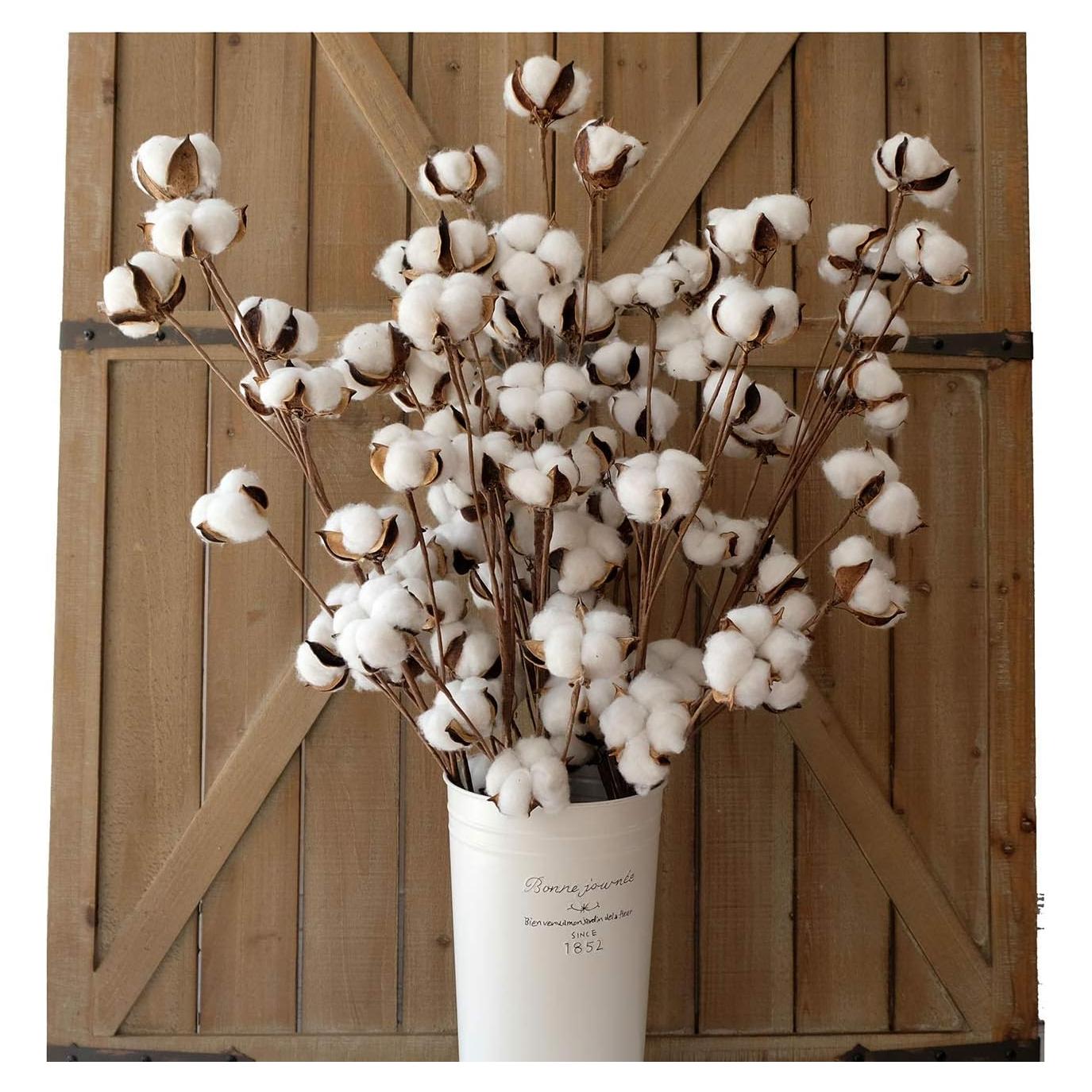 Ramas de Algodón Idílico - Paquete de 6 - 78.74 cm Altura