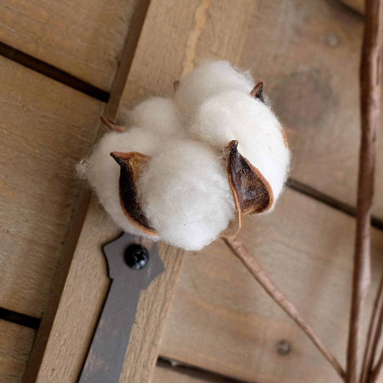 Ramas de Algodón Idílico - Paquete de 6 - 78.74 cm Altura