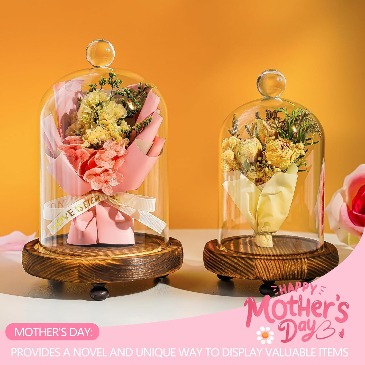 Pack 2 Campanas de Vidrio con Base de Madera - ZEERSHEE