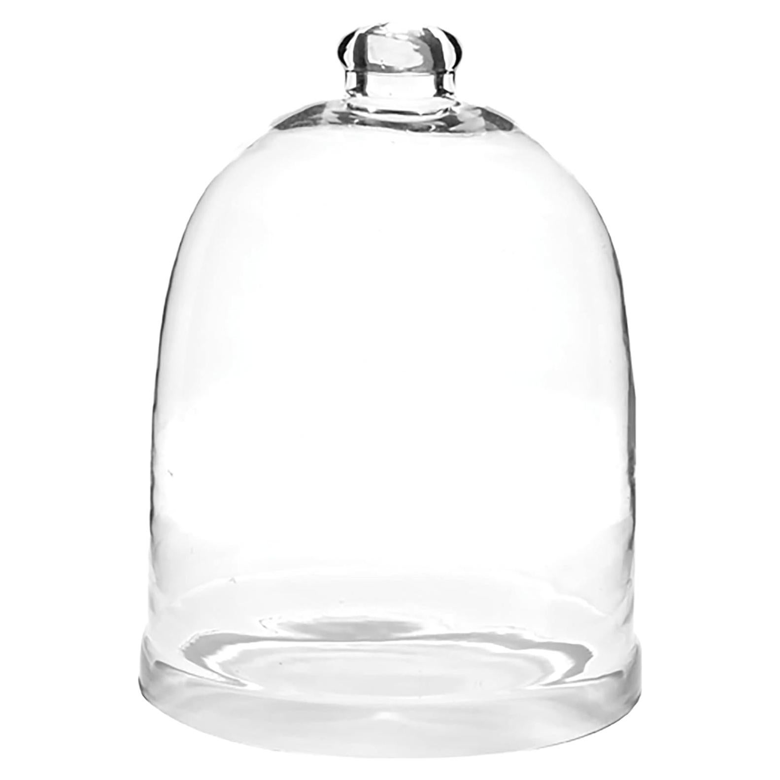 Campana de vidrio Park Designs 30 cm H - Domo decorativo claro