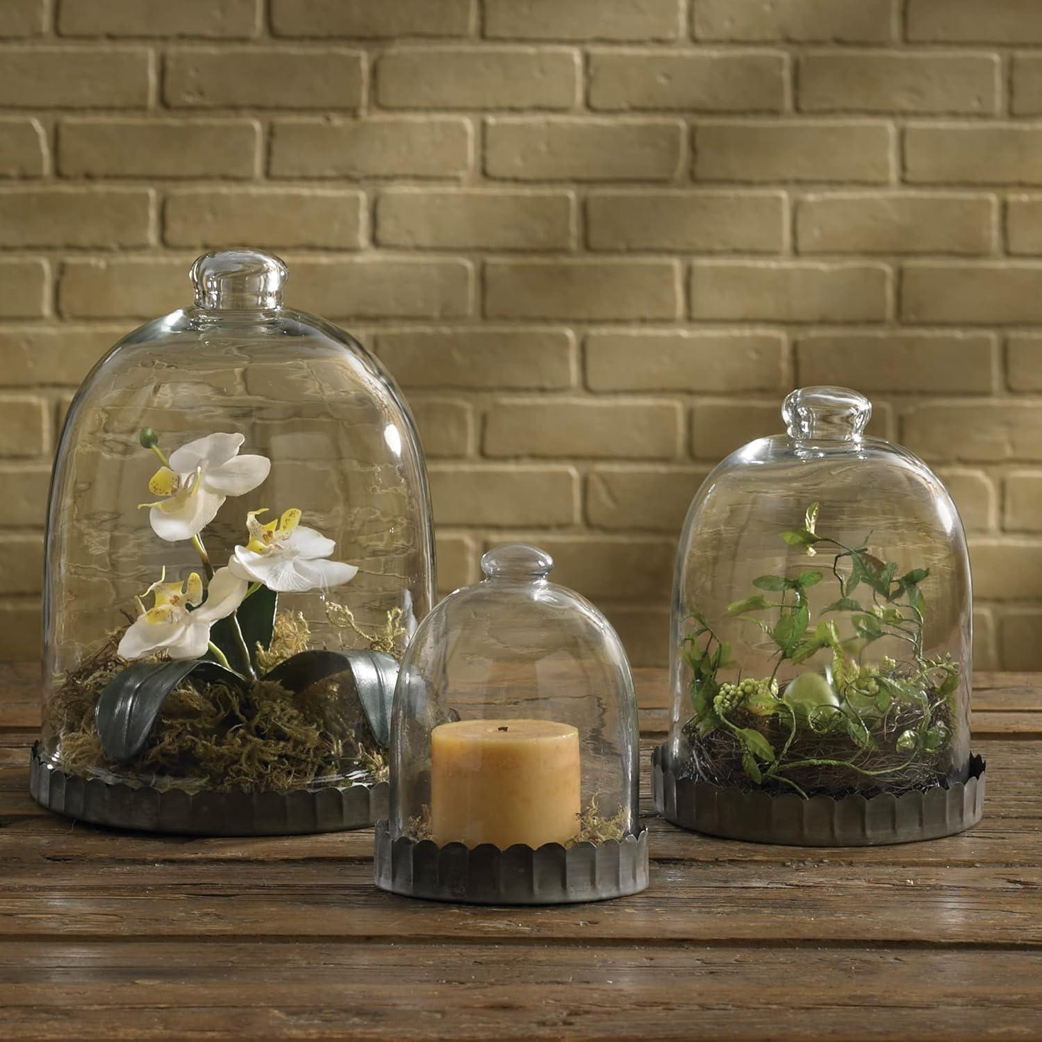 Campana de vidrio Park Designs 30 cm H - Domo decorativo claro