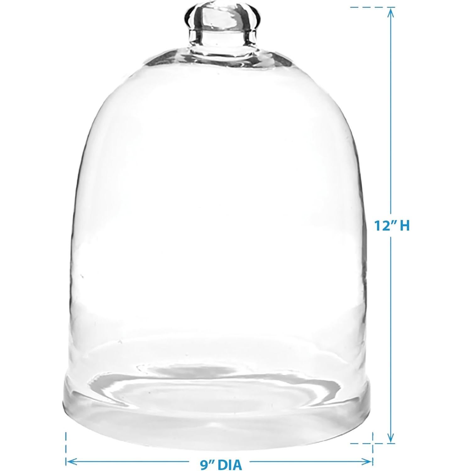 Campana de vidrio Park Designs 30 cm H - Domo decorativo claro